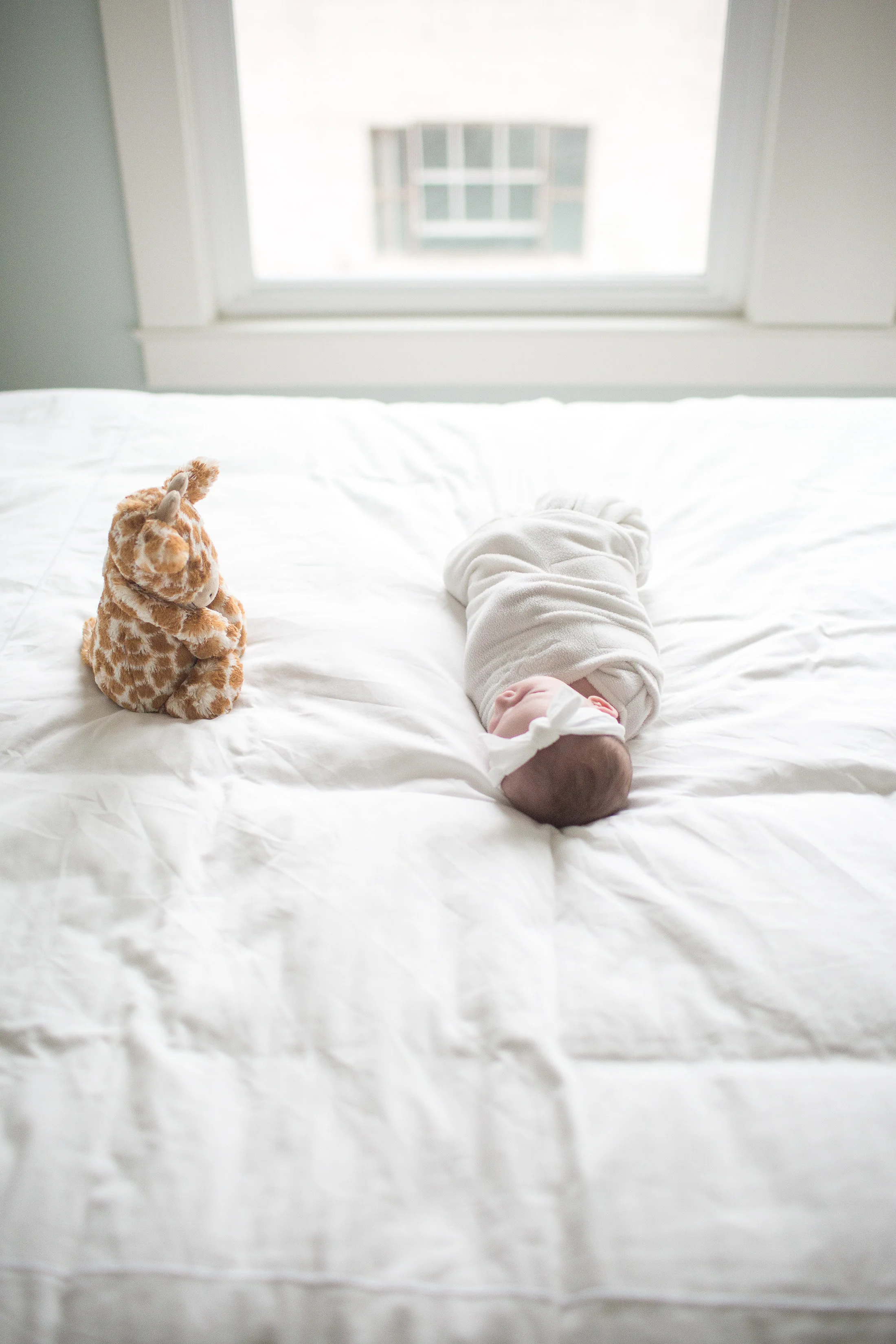 2016_CS_newborn-1-12.jpg