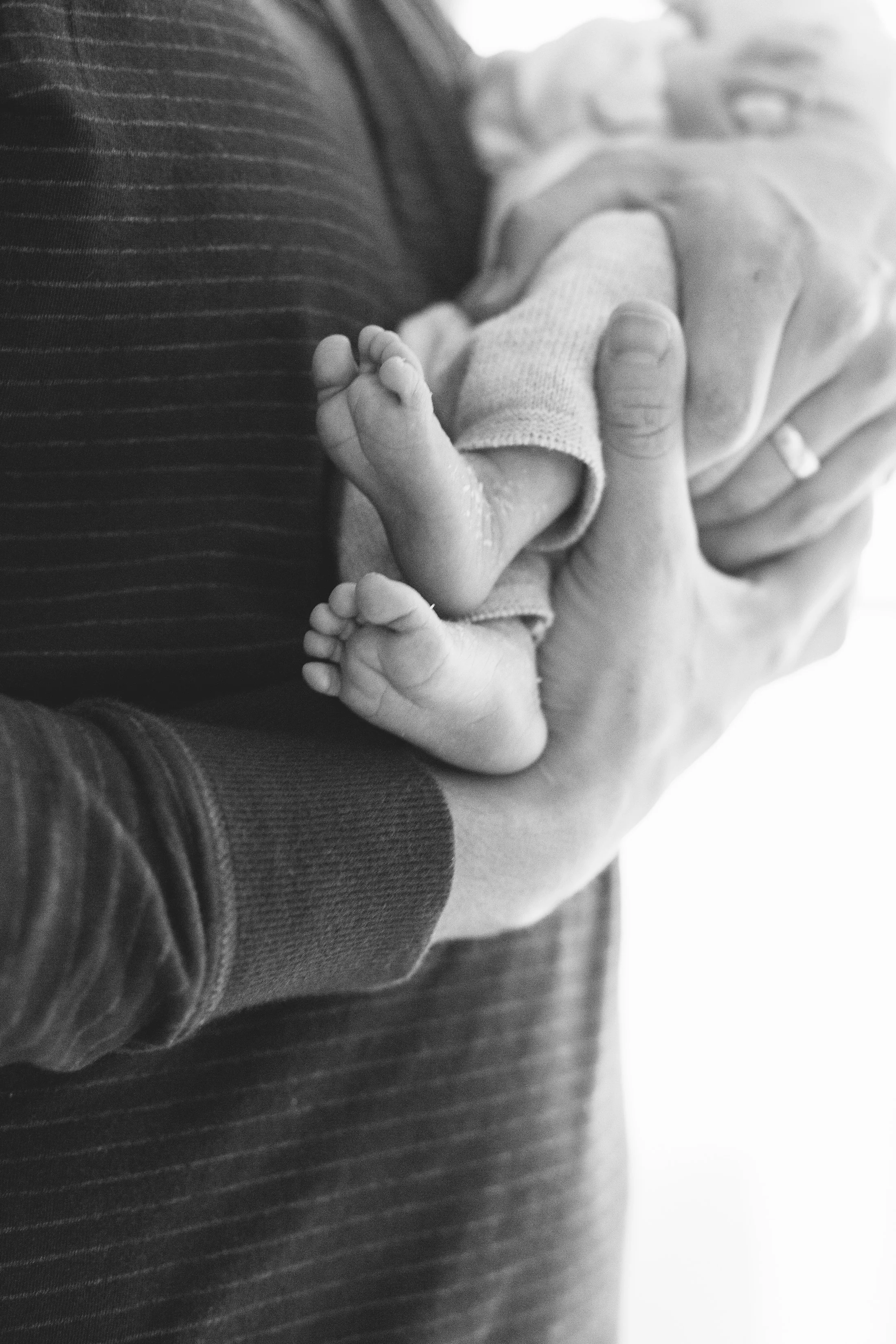 v_newborn1-1-81.jpg