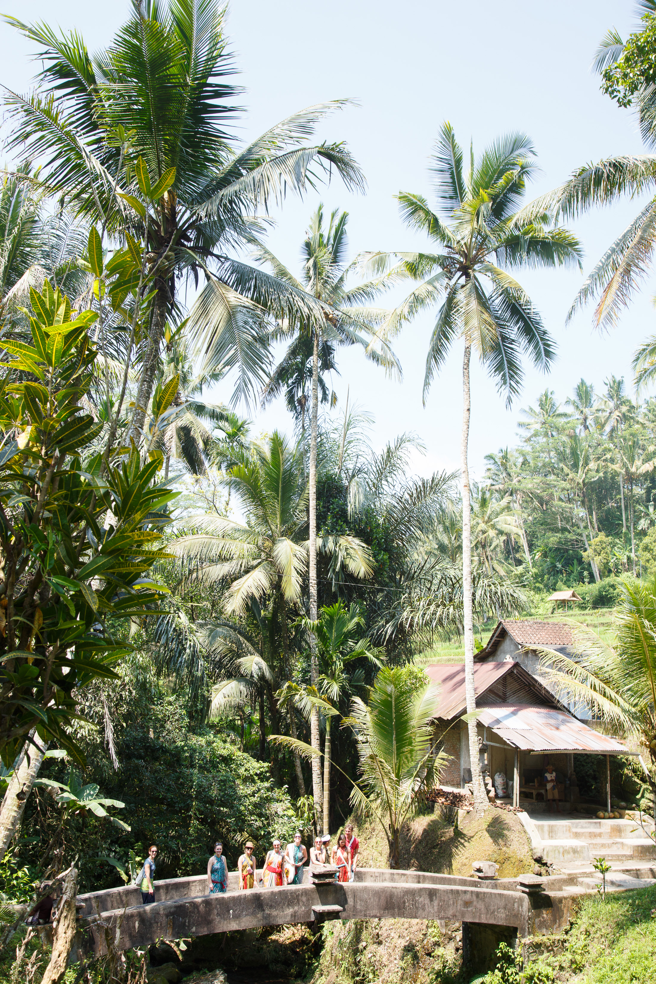 UbudBali2017-1-112.jpg