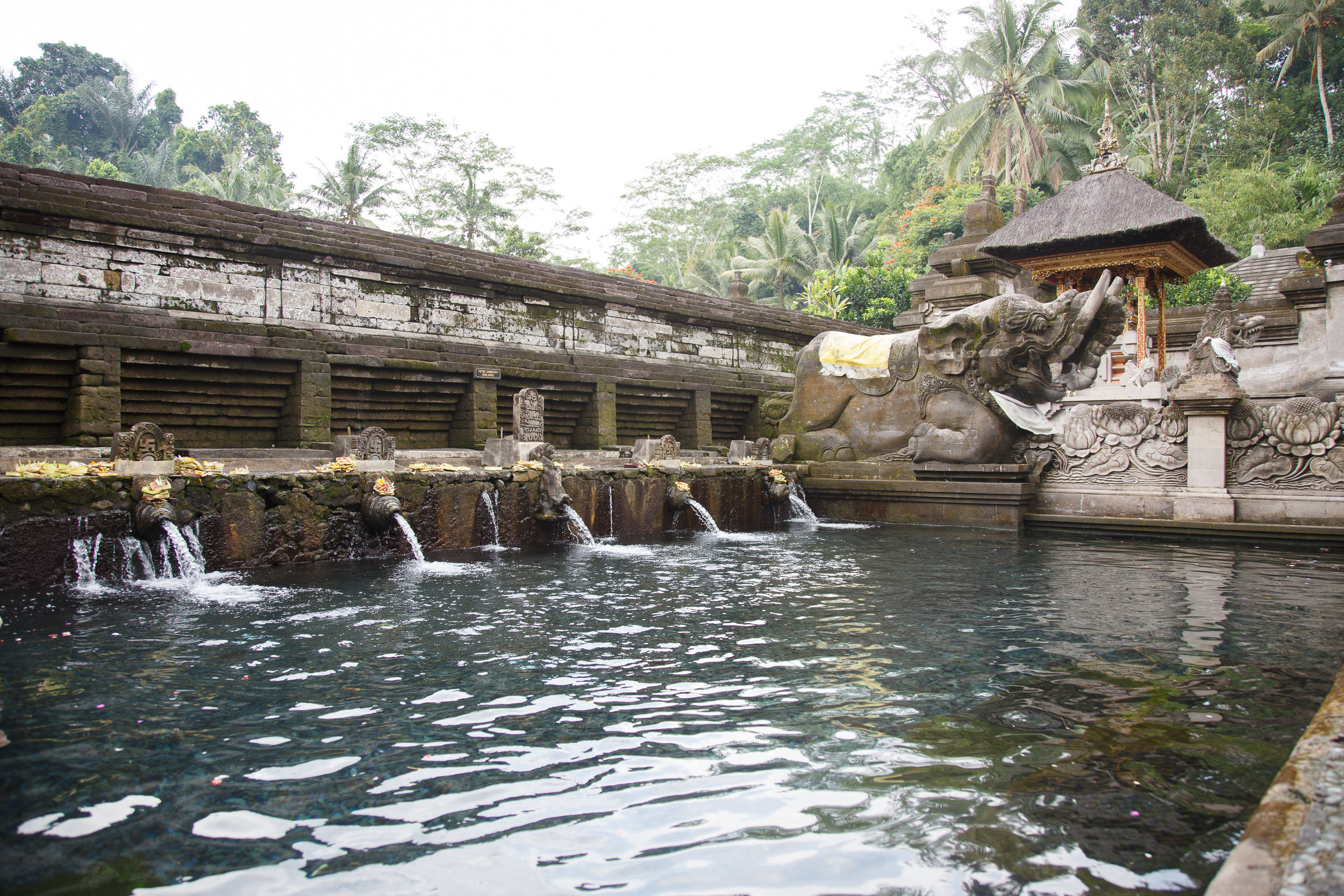 UbudBali2017-1-165.jpg