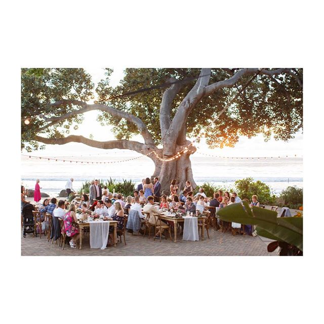 When all your favorite people come together to celebrate #wedding #hawaii @unveiledhawaii