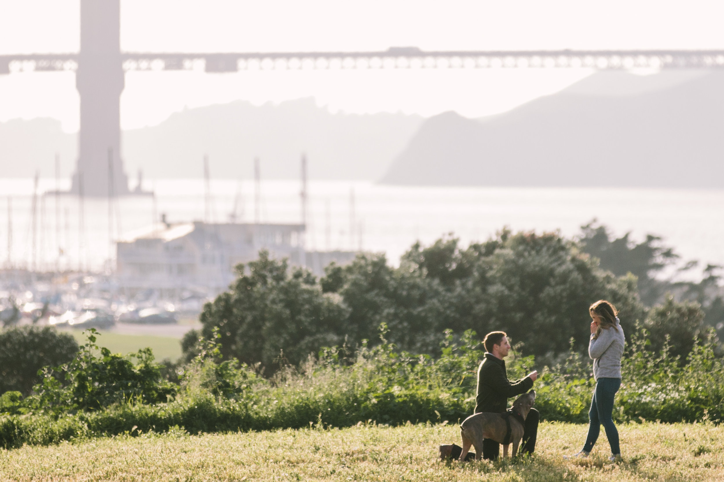 Matt+Danielle{Fort Mason Proposal}-49.jpg