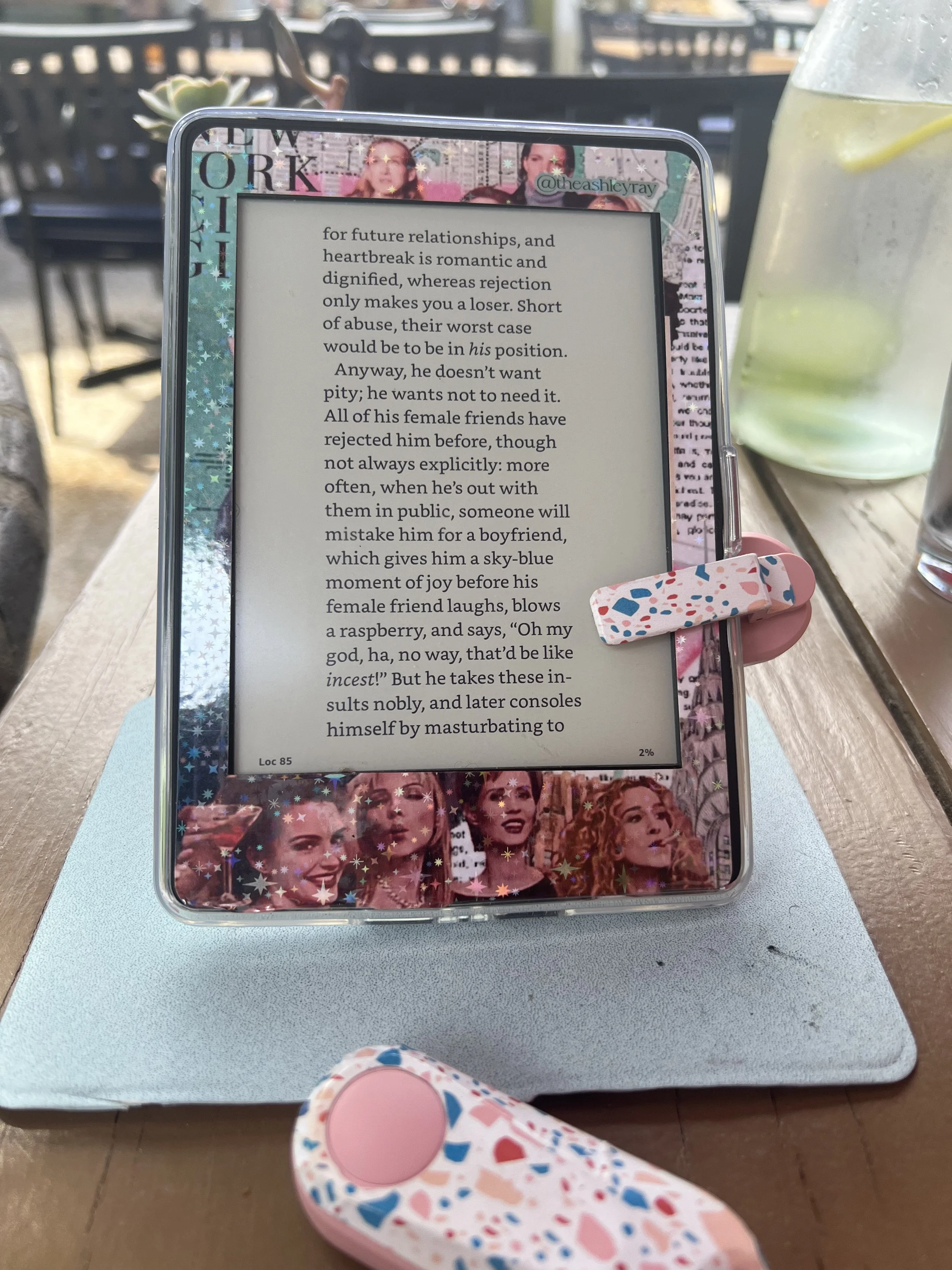 ereader SATC skin