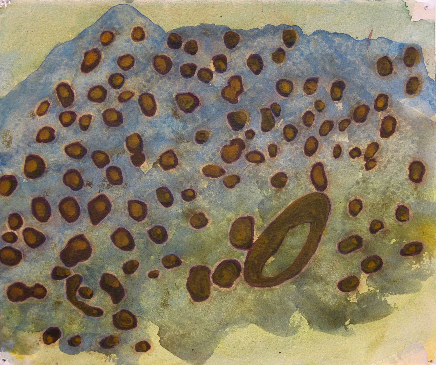 Fossil section-halo.2 (2014)