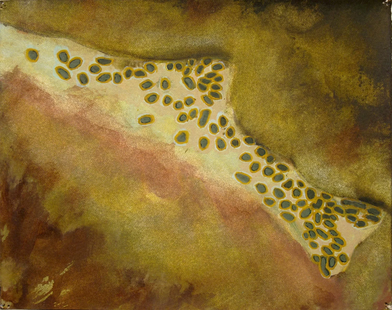 Fossil section-halo.5 (2014)