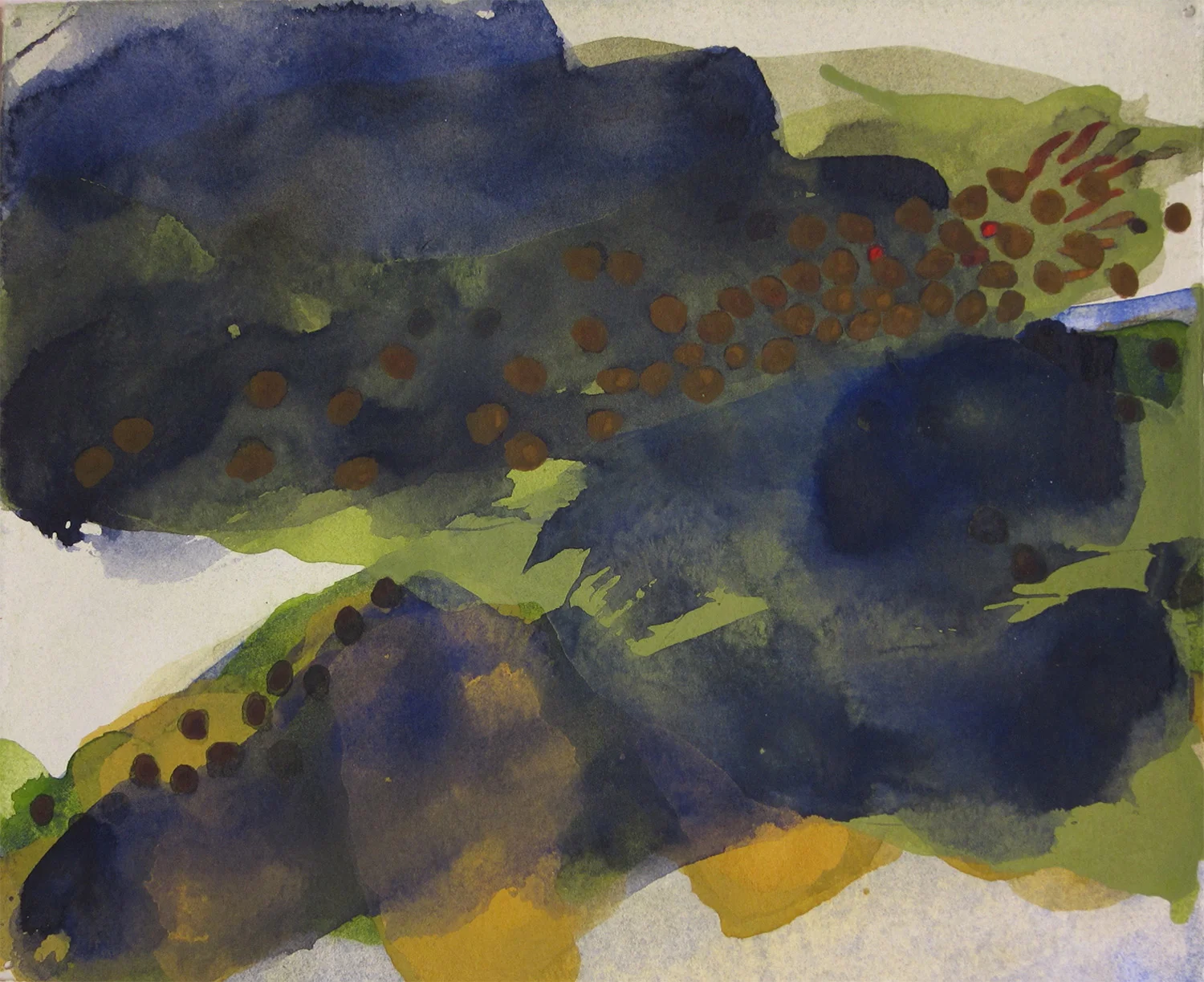 Salvelinus fontinalis-ultramarine (2016)