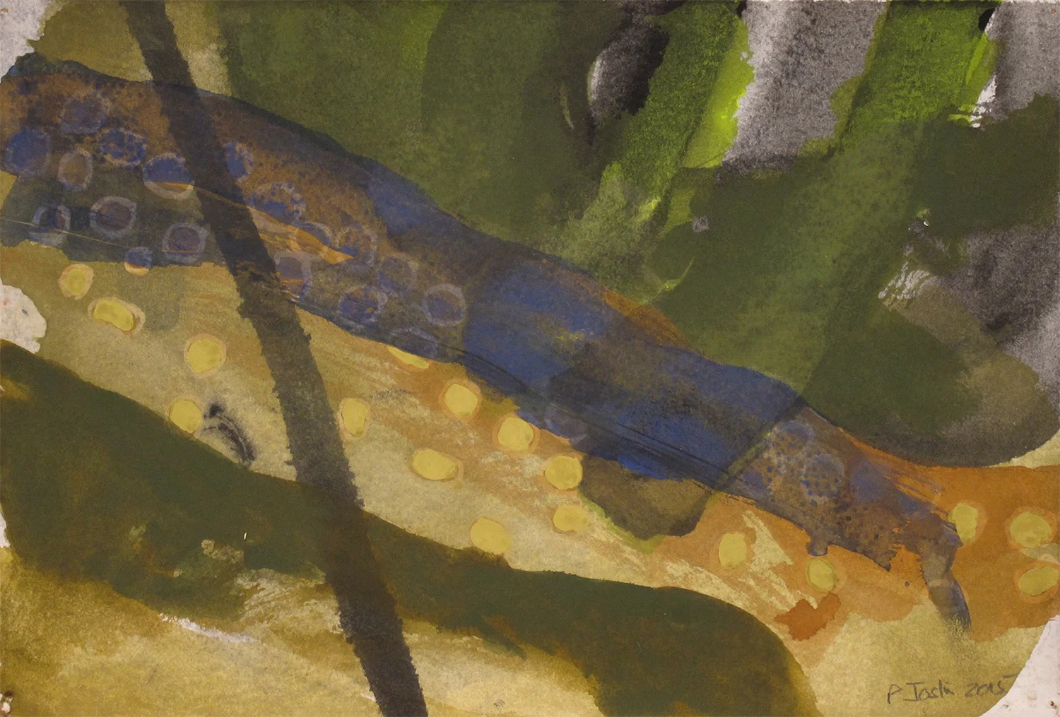 Salvelinus.5 (2016)