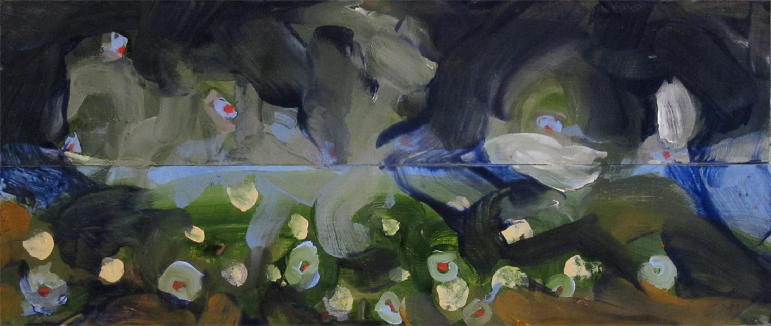 Trout study (2010)