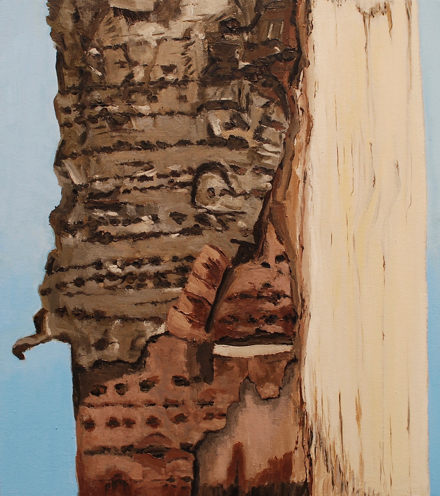 Split Birch (2018)