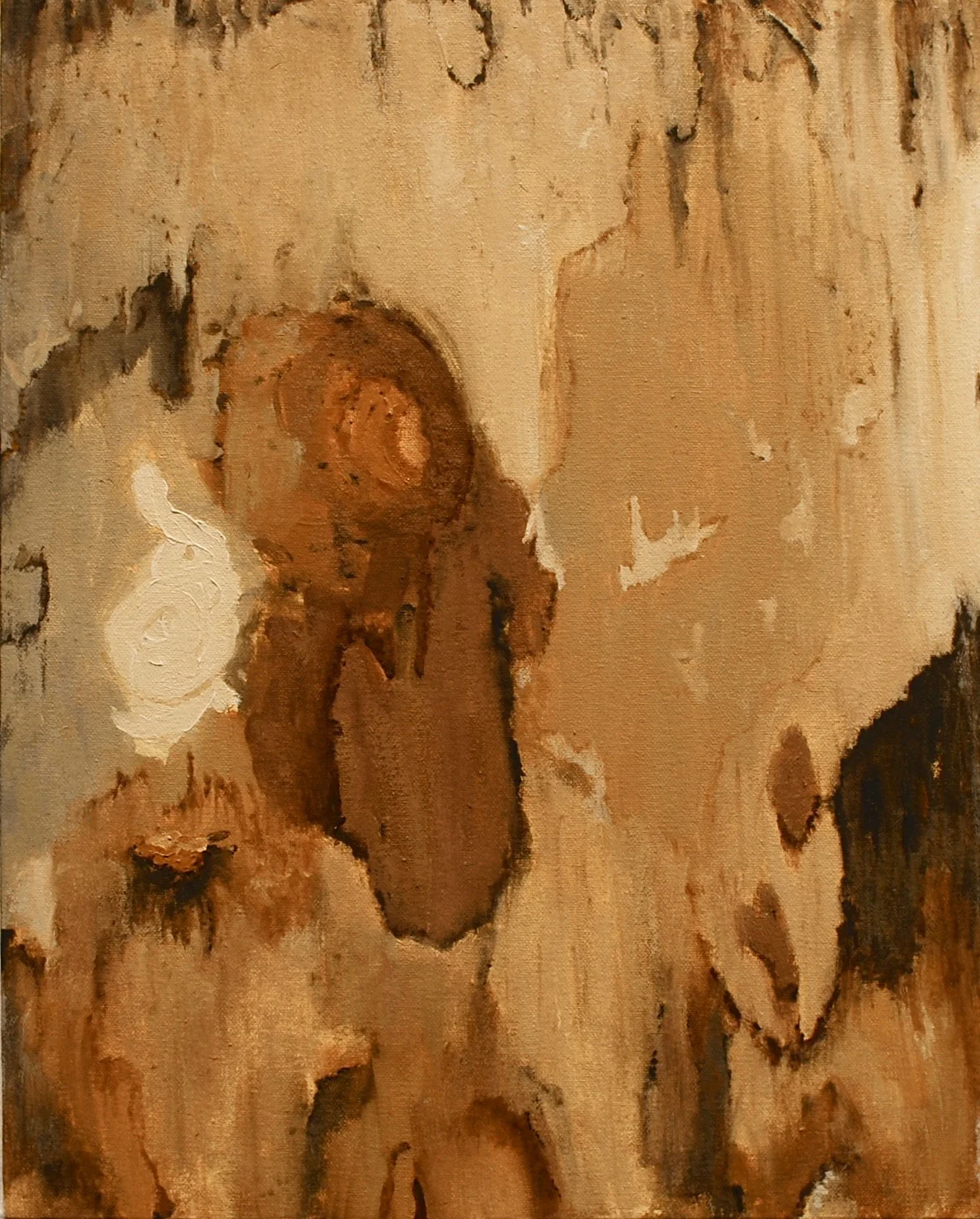 Cambium Layer (2019)