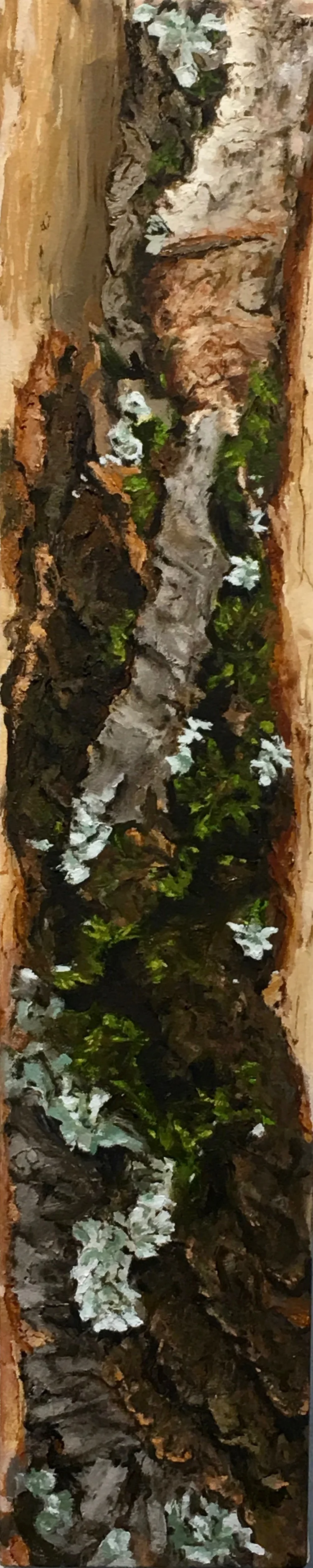 Lichen and Moss 2019