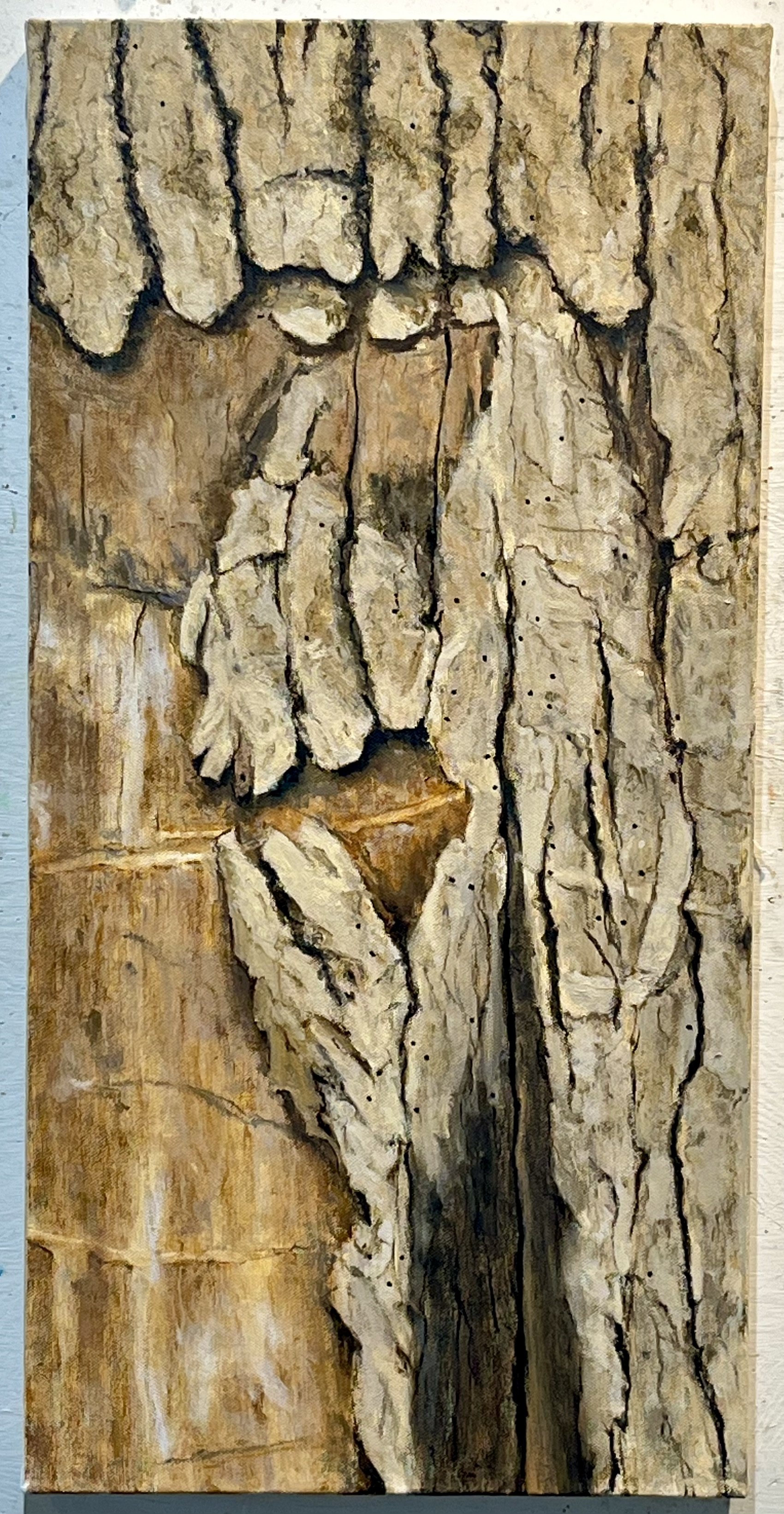 Bark Curtain with Shot (2024)