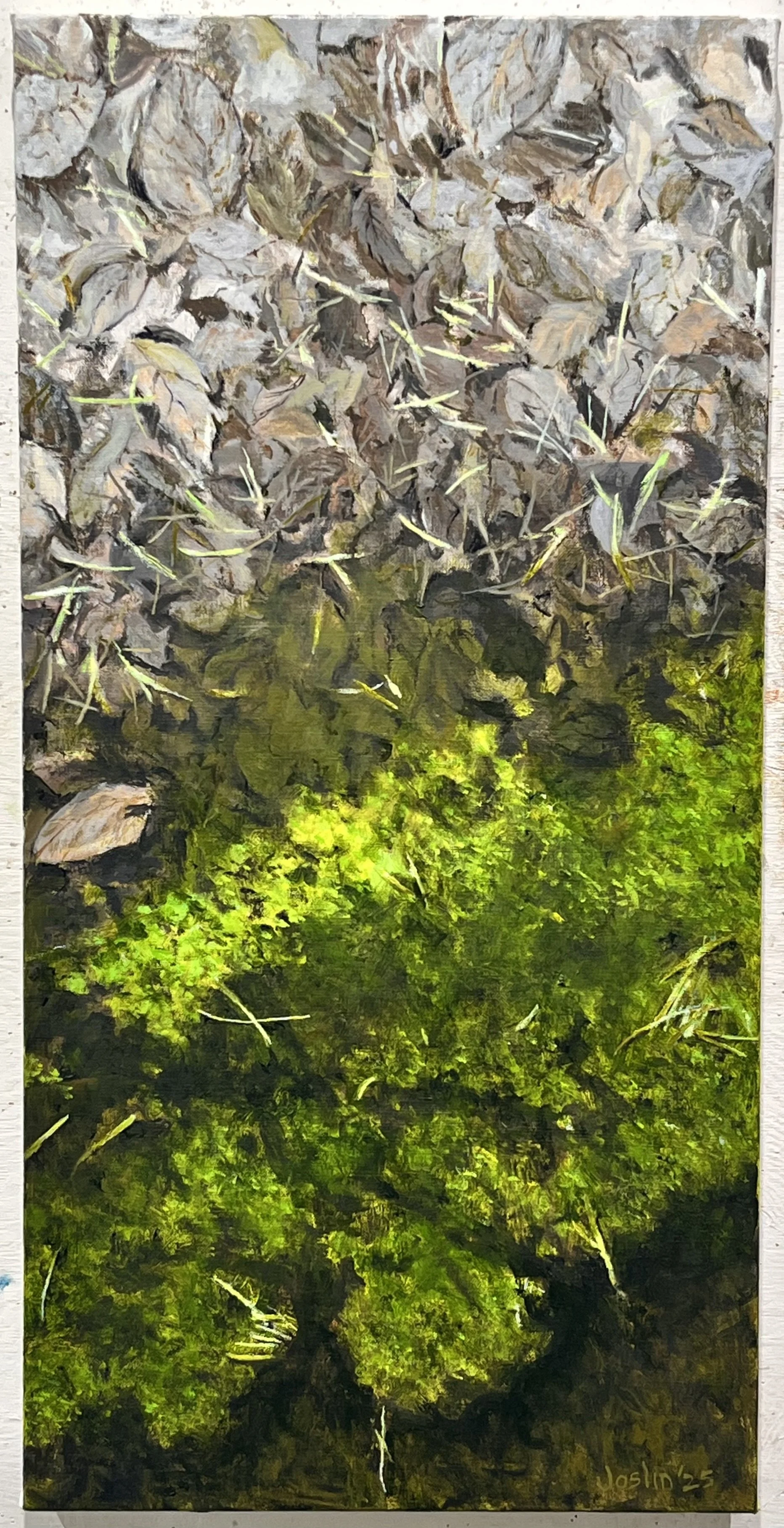 Spring Runoff (2025)