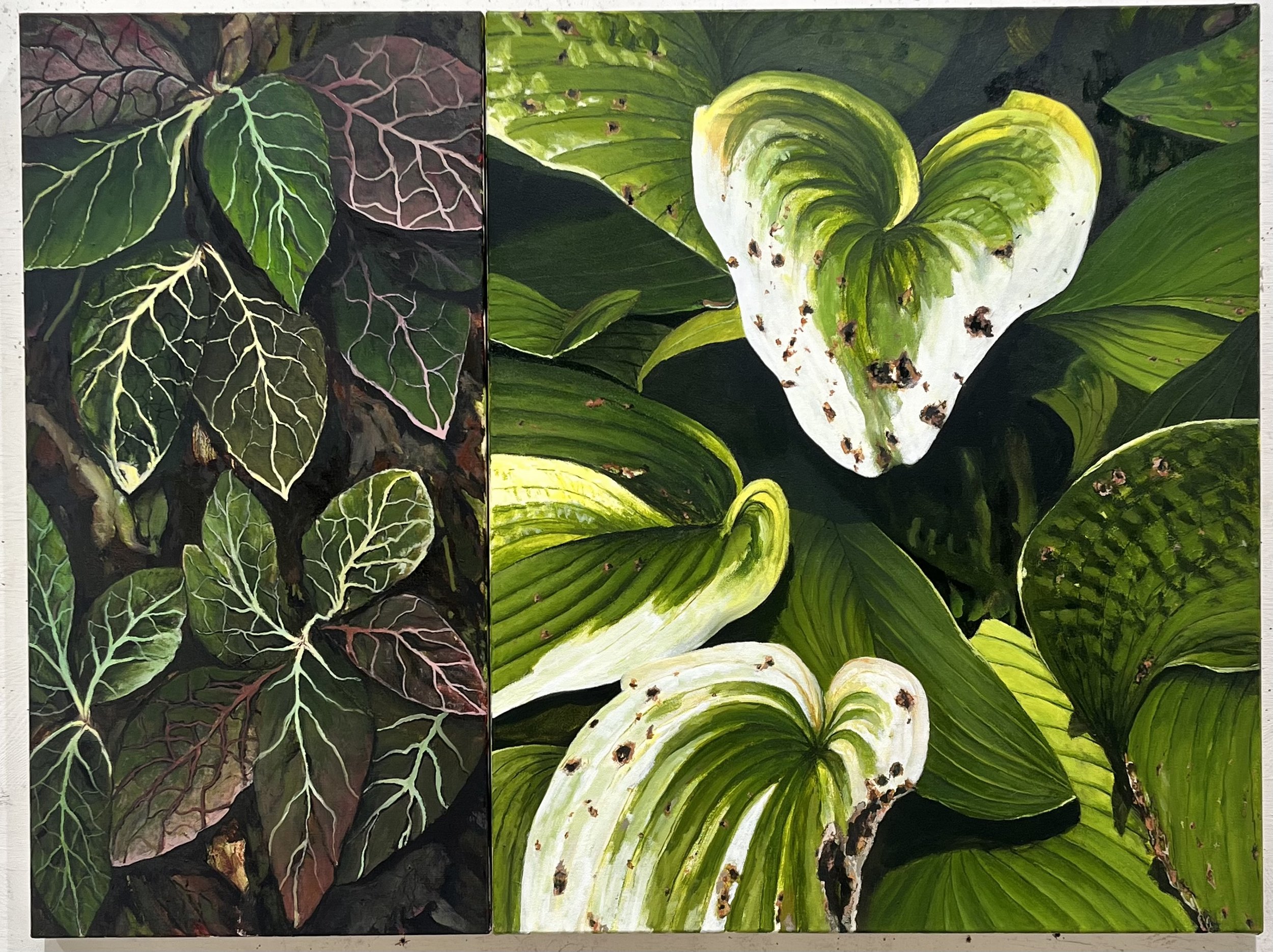 Decay (diptych) 2025
