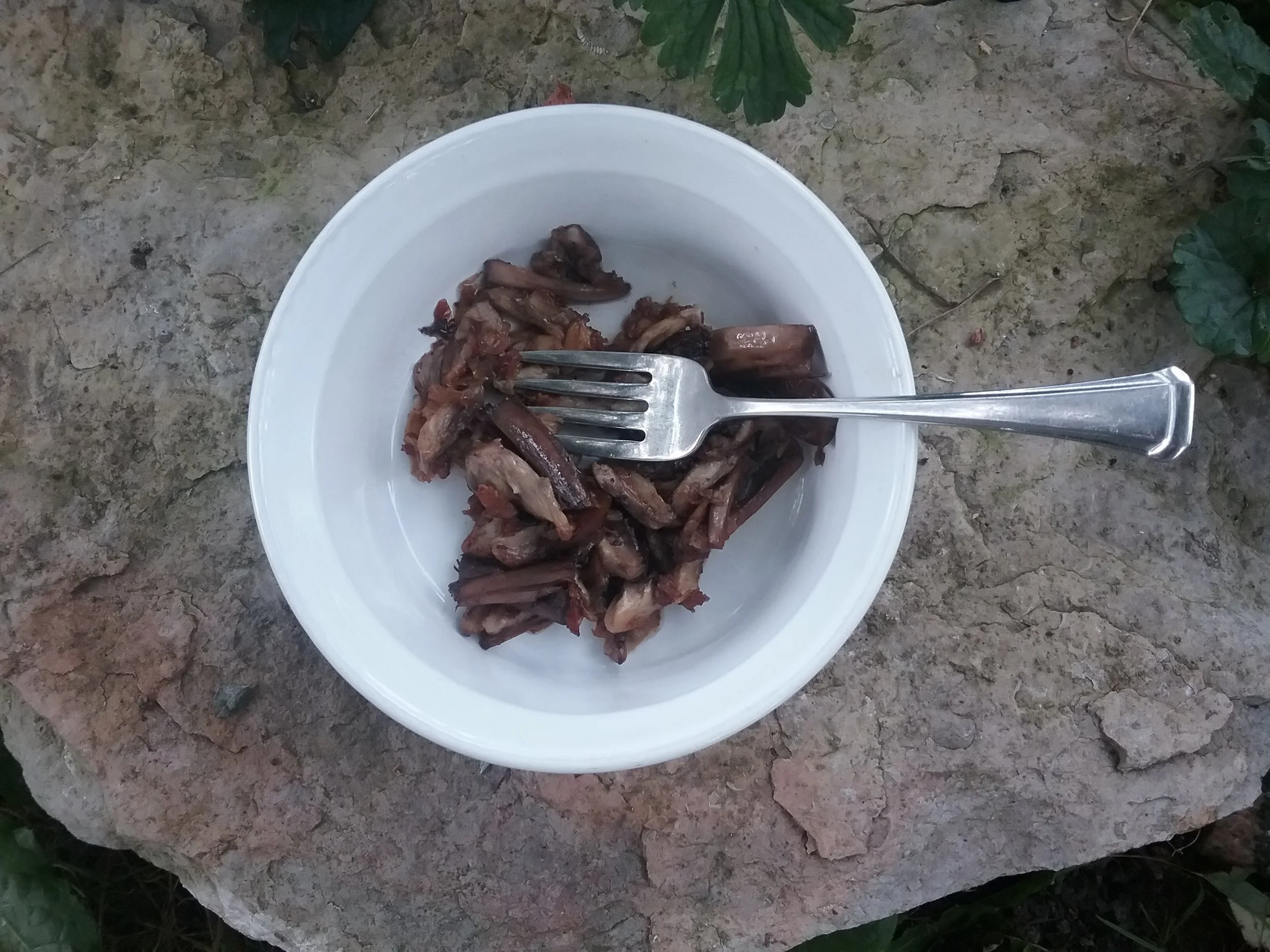 20170919_140028.jpg