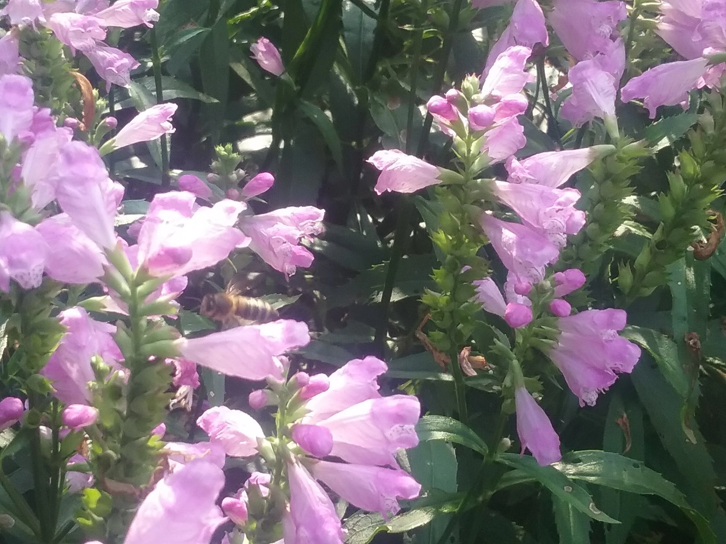 20170916_164800.jpg