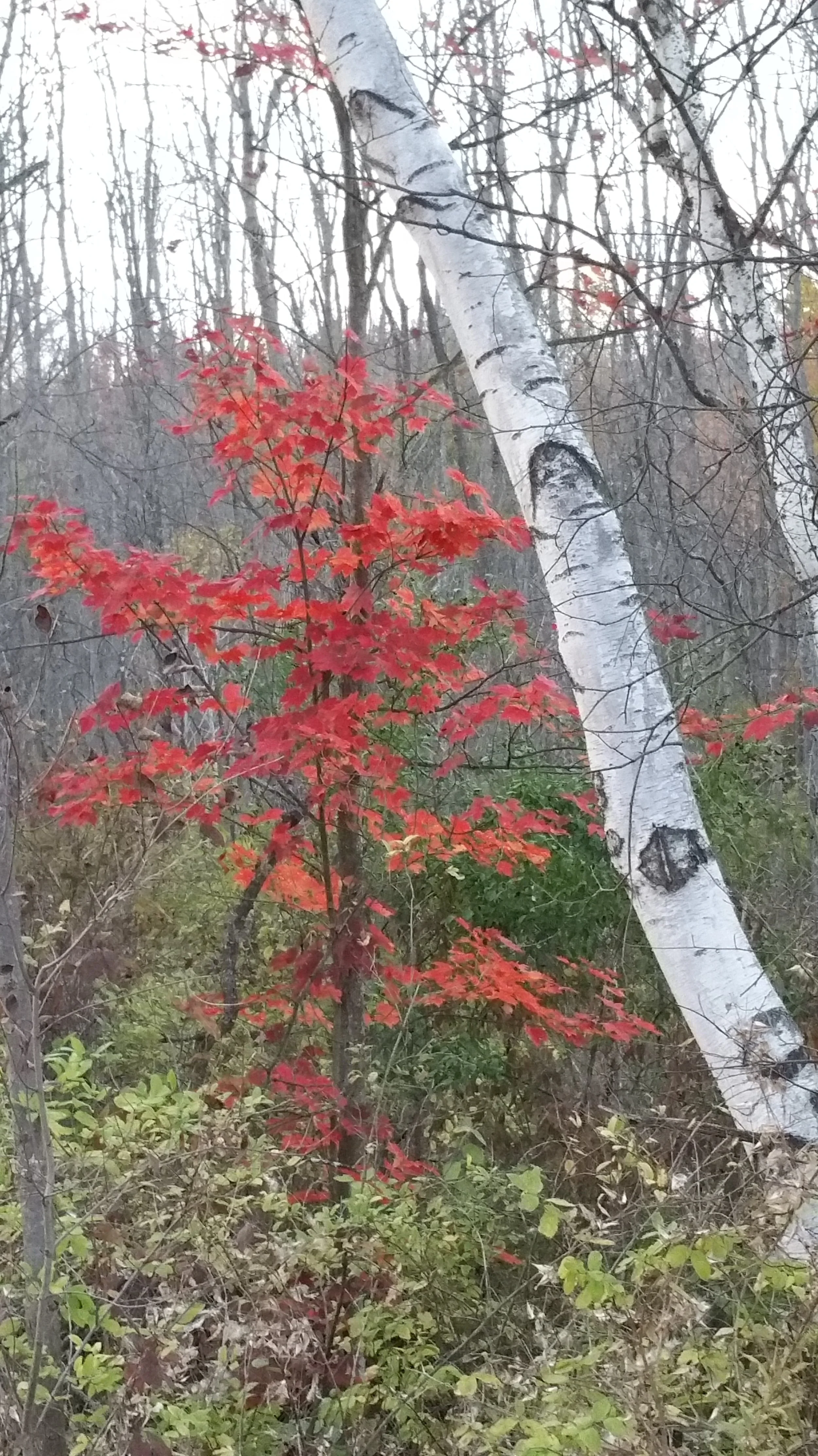 20171022_180629.jpg