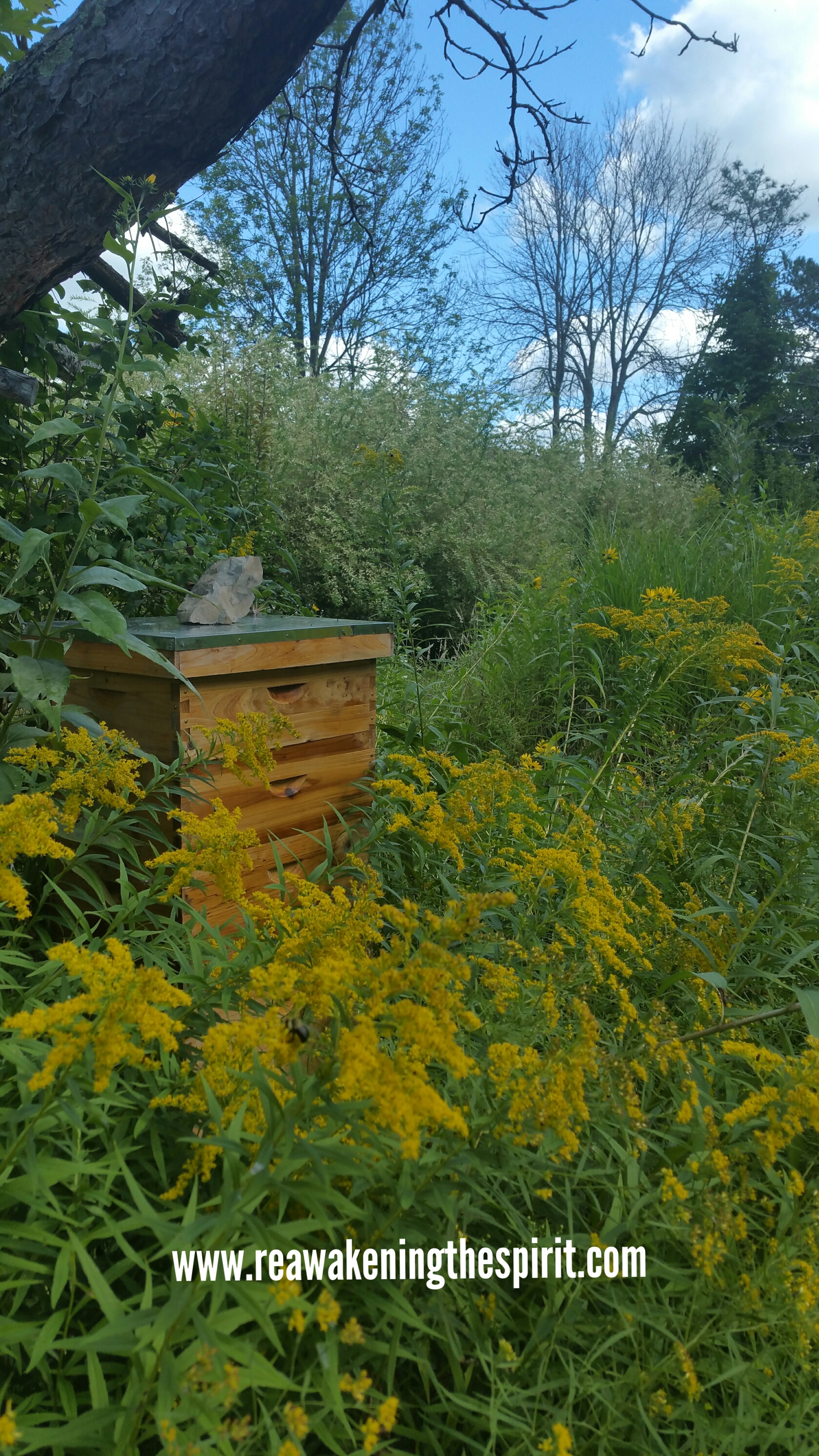 2019-09-06_14.08.43.jpg