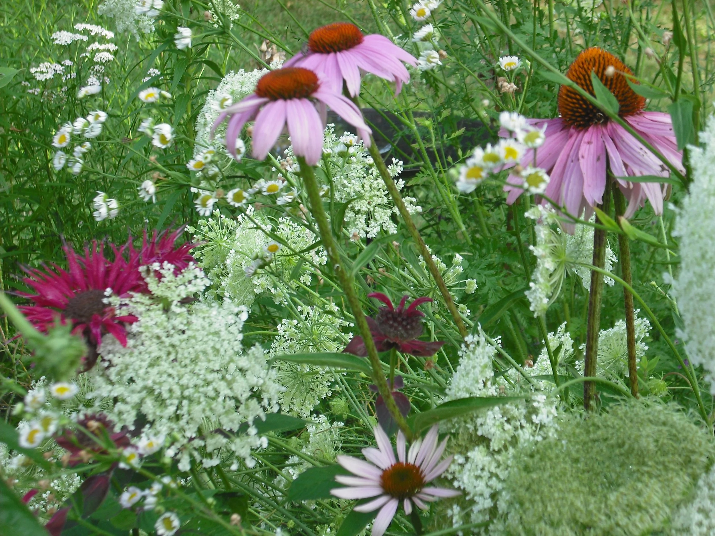 When the Universe Sends You Messages