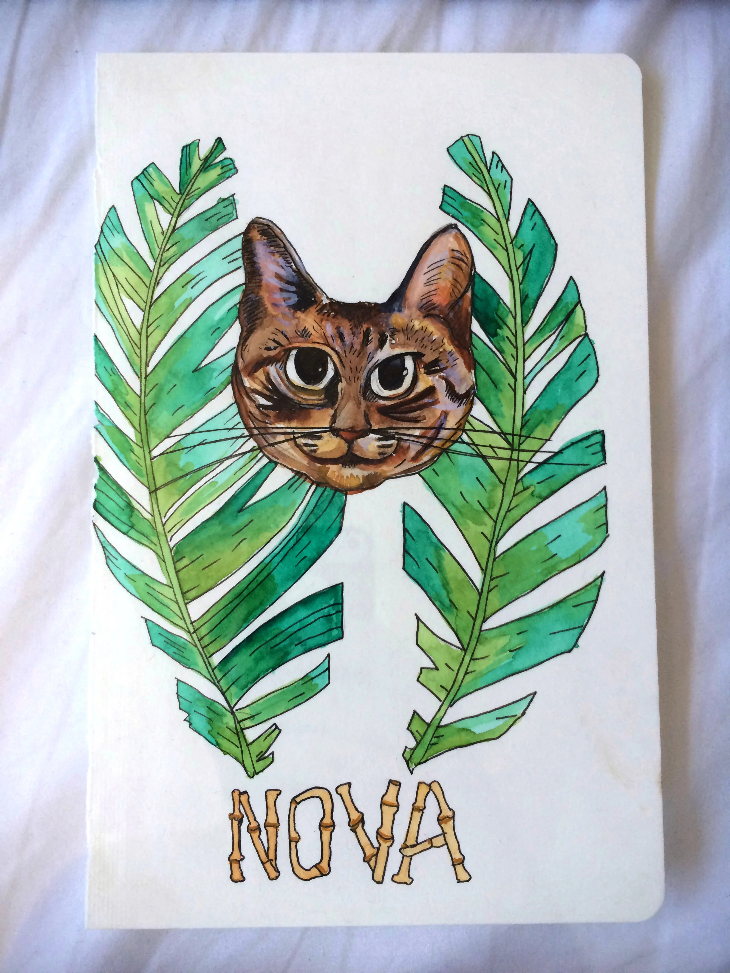 NovaPainting.jpg
