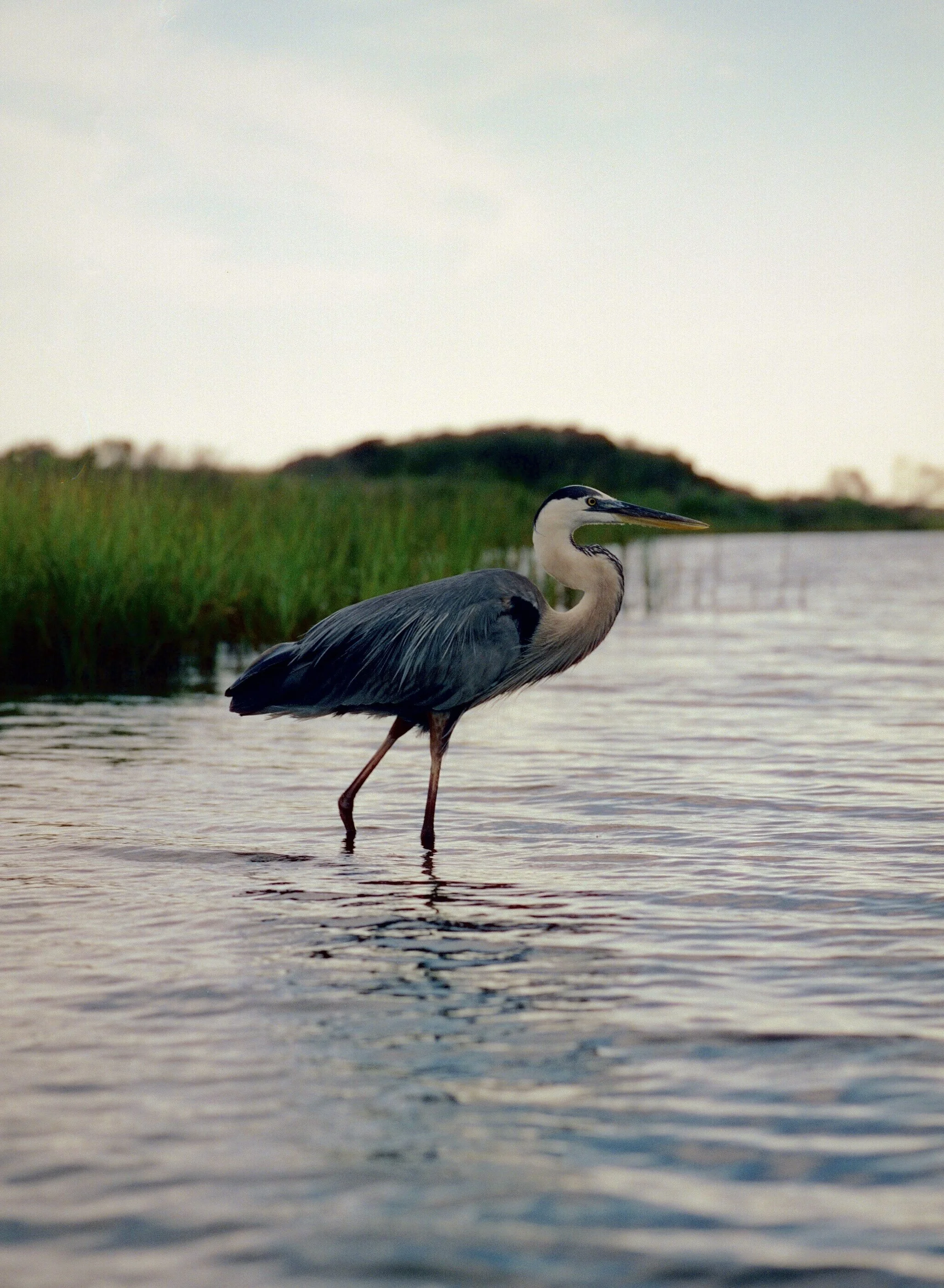 Perdido Key, Florida