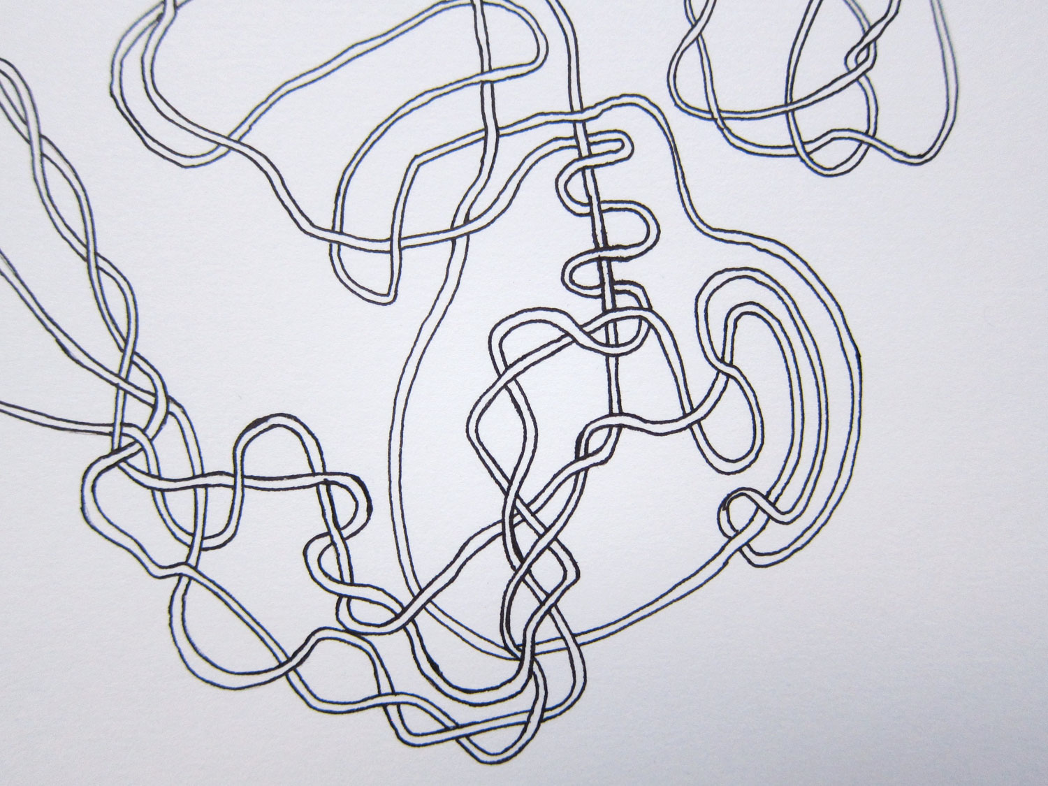(detail) Line Study #1