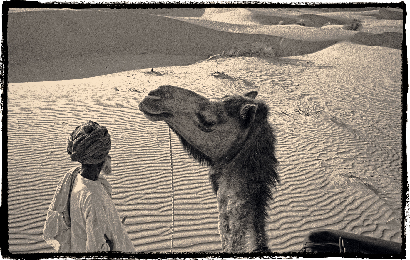 hombre camello.jpg