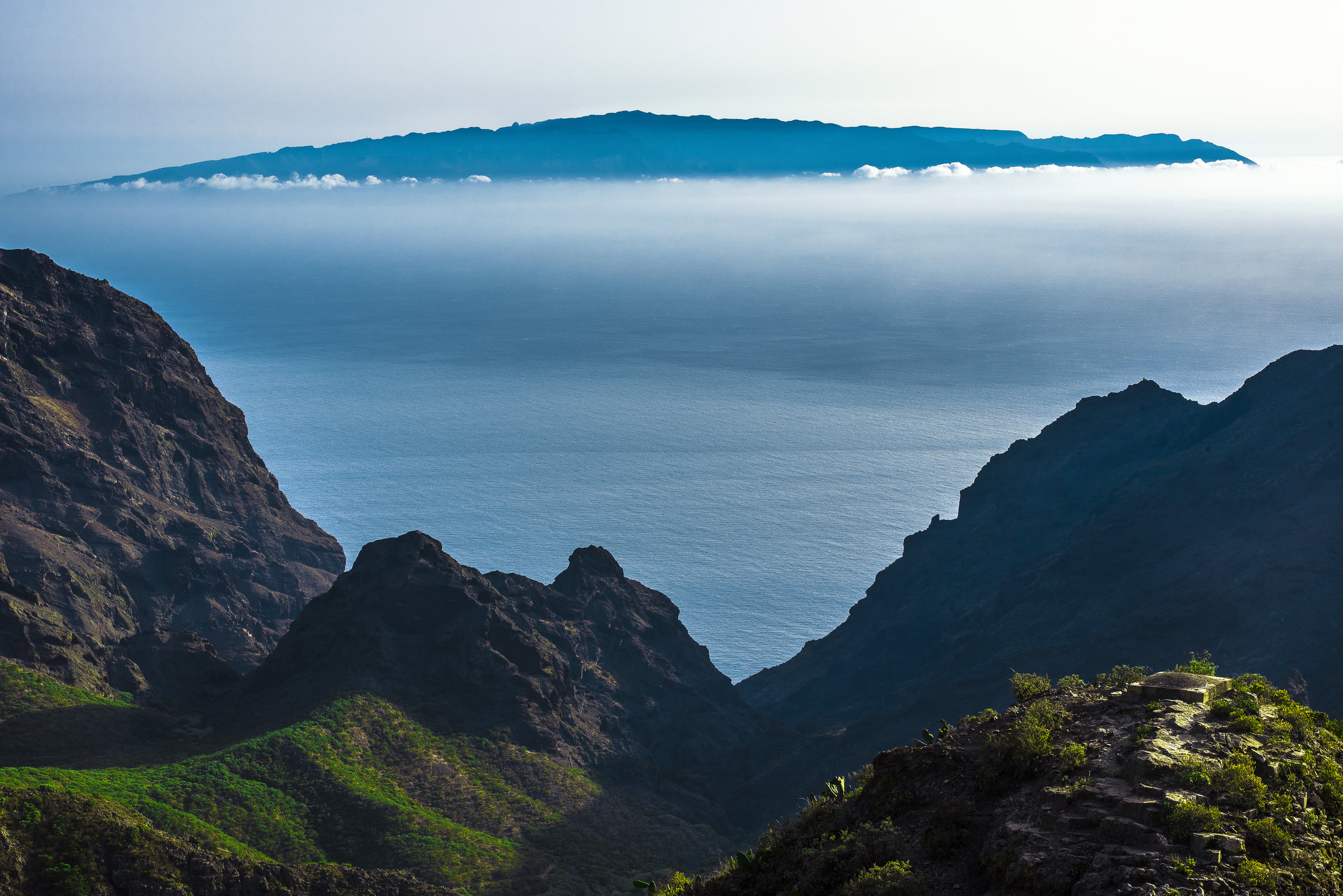 la palma en azul.jpg