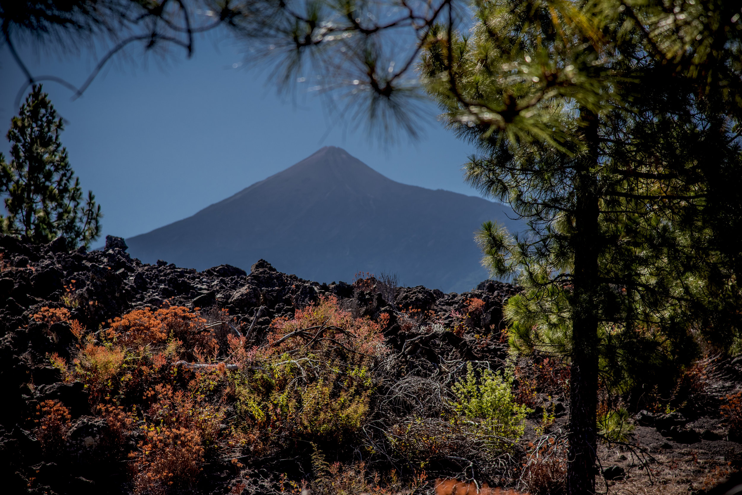 teide.jpg