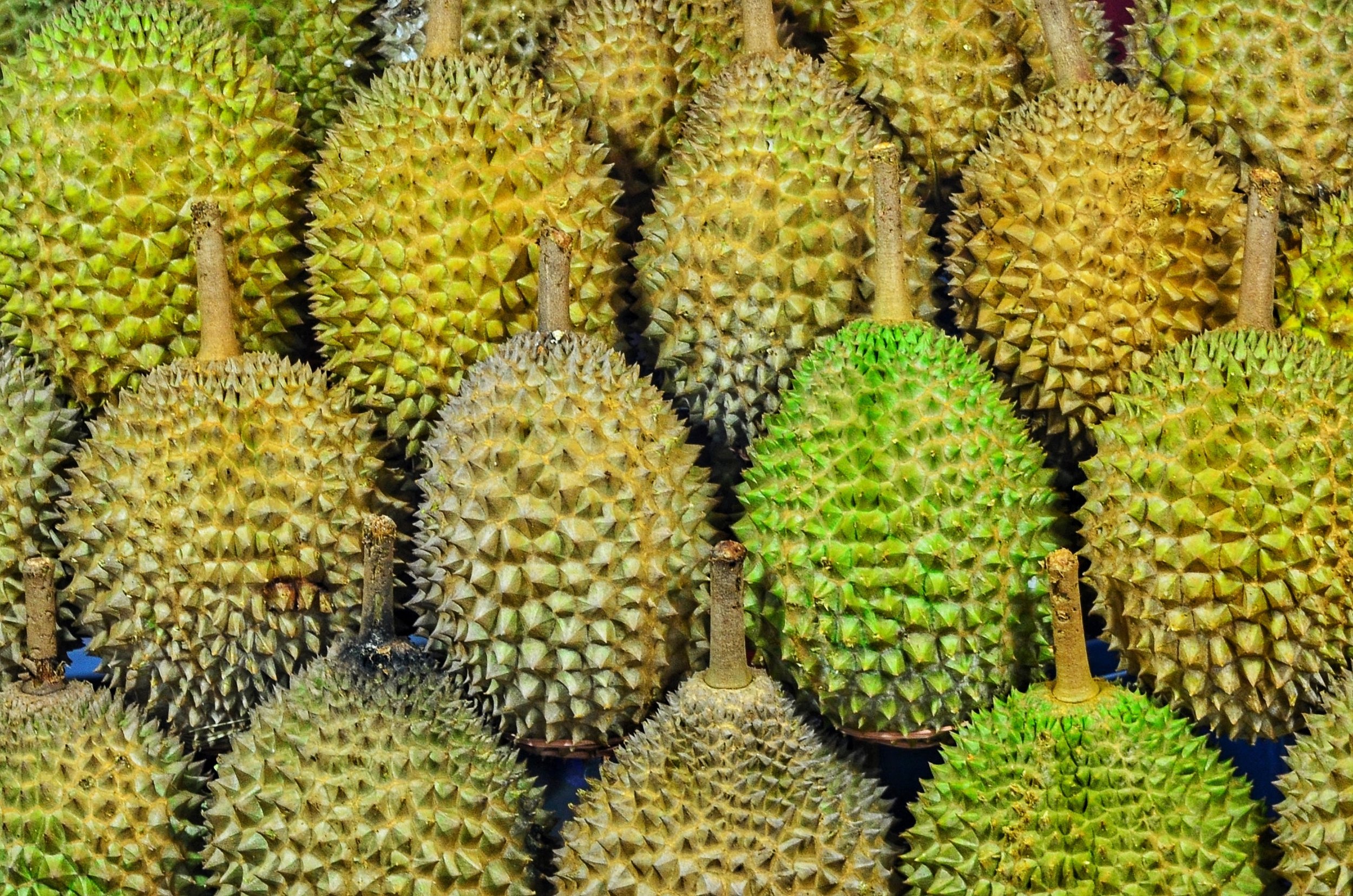 Durian Meyvesi. Fotoğraf: Jonny Clow