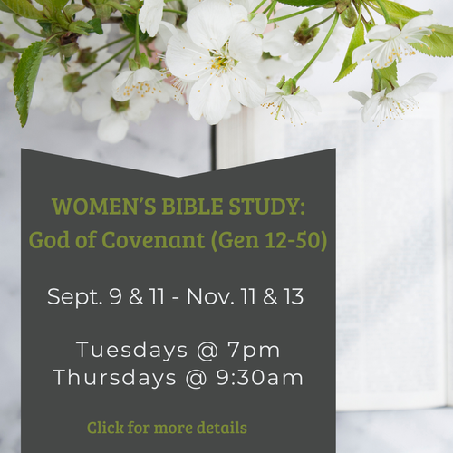 Women’s+Bible+Study.webp