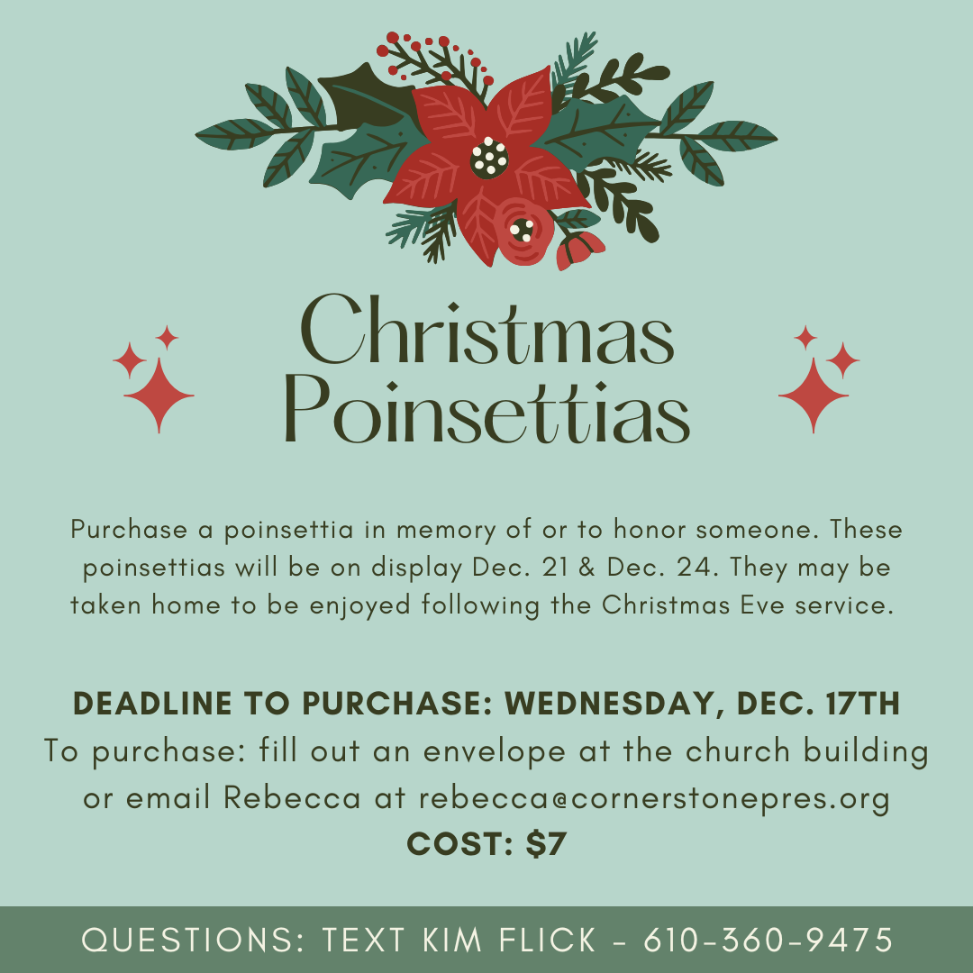 Christmas Poinsettias 2025 square.png