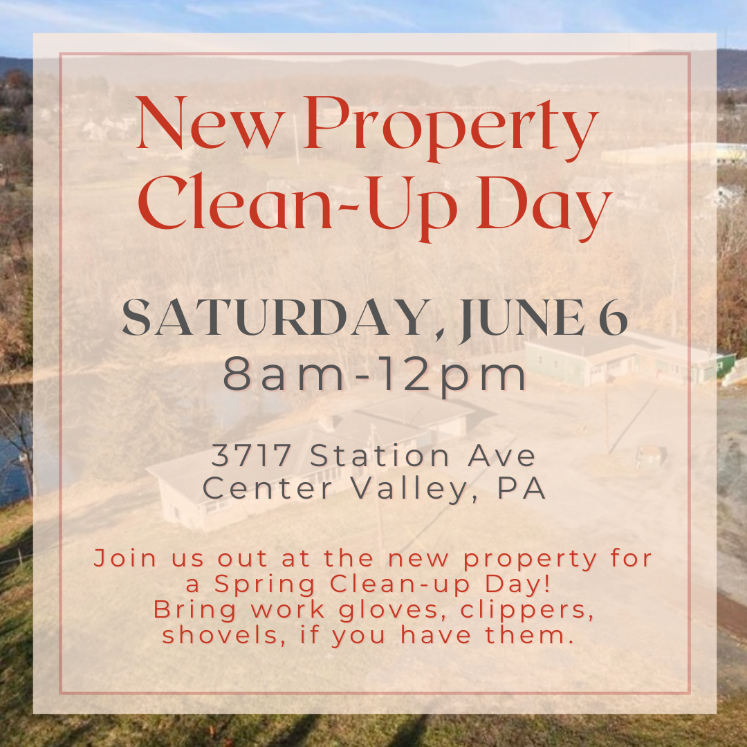Spring Clean Up.png