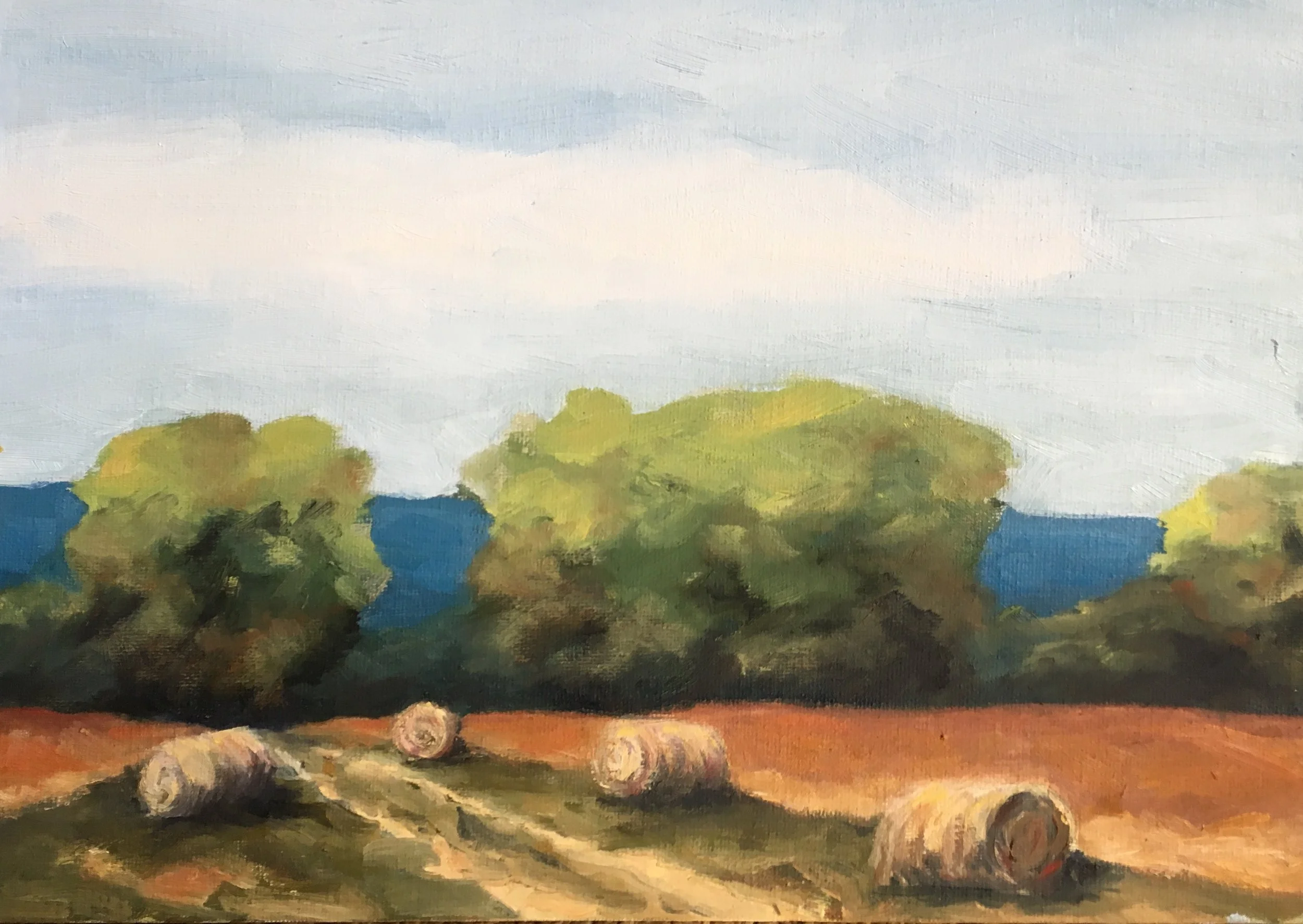 Hayfield; oil on canvas; 9 x 12; $470