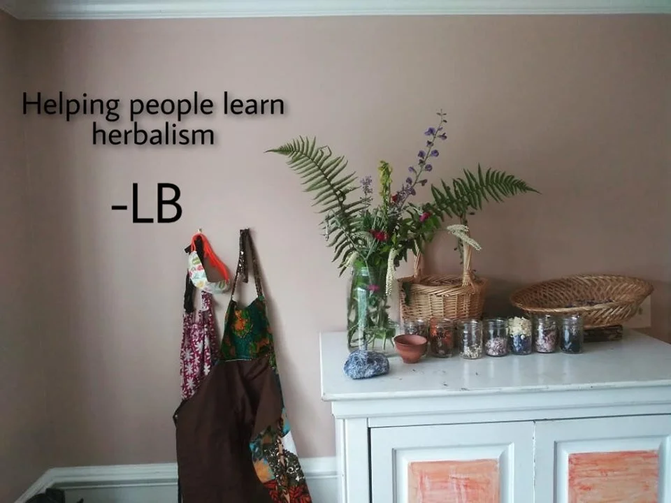 30 Day Plant Connection Activity For Improved Self Care