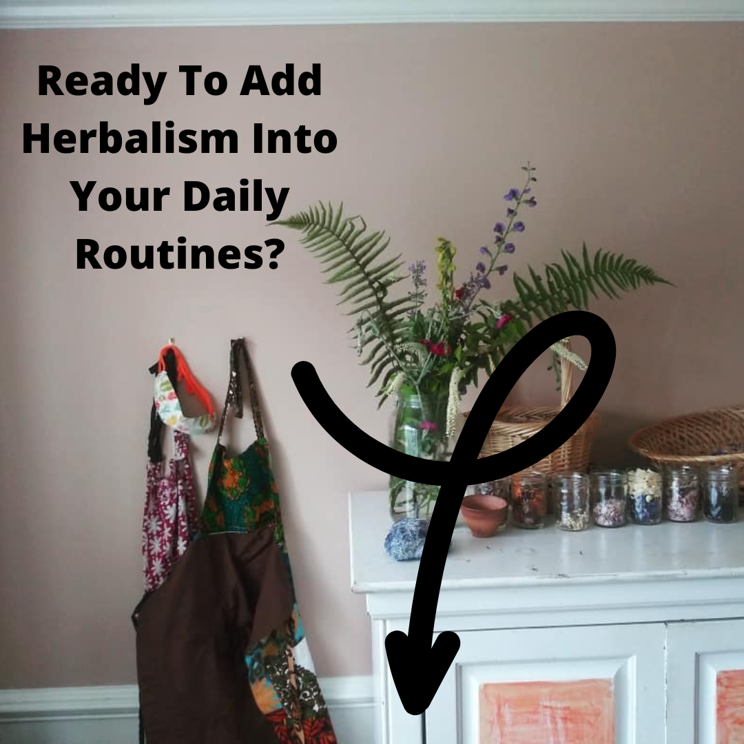 Ready to learn herbalism?