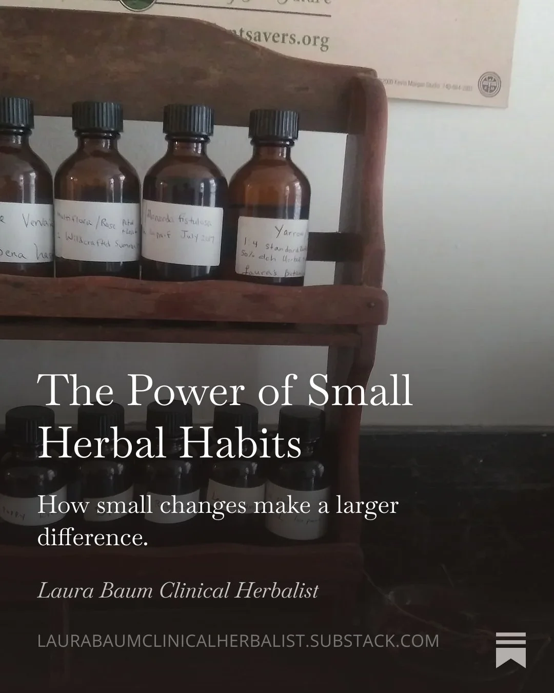 The Power of Small Herbal Habits