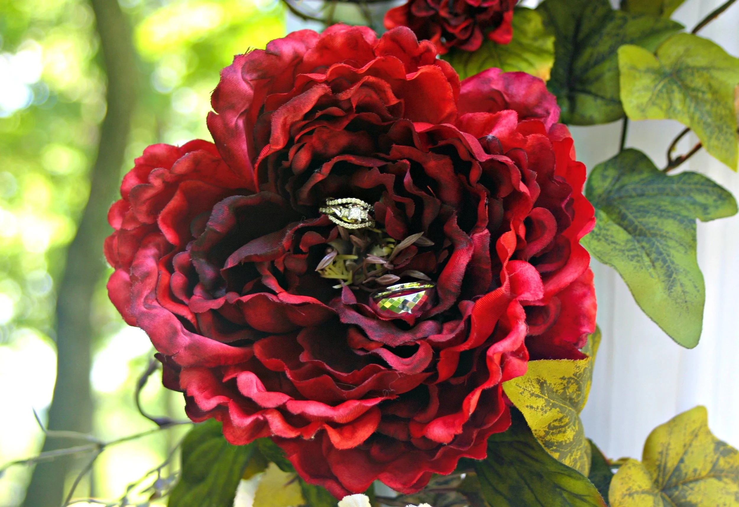 IMG_2578 Edit.jpg