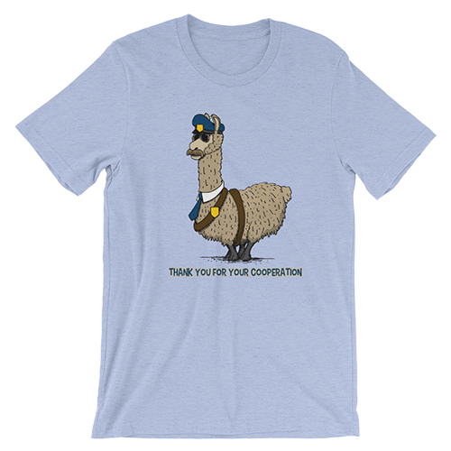 llama500.png