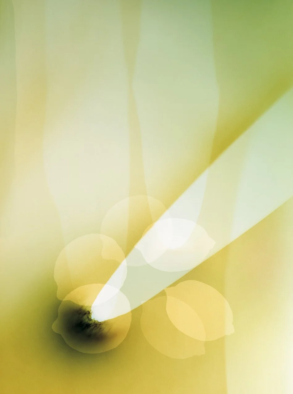 Lemons celerities.jpg