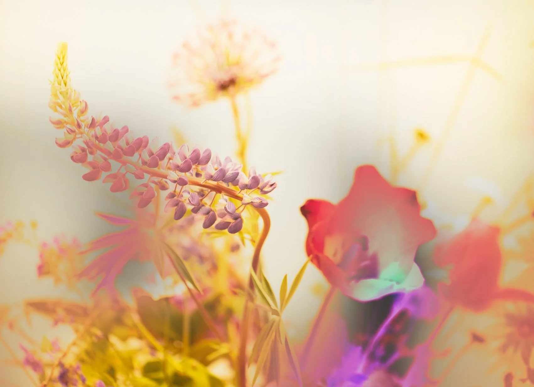 Sommar 23-1  orig B.jpg