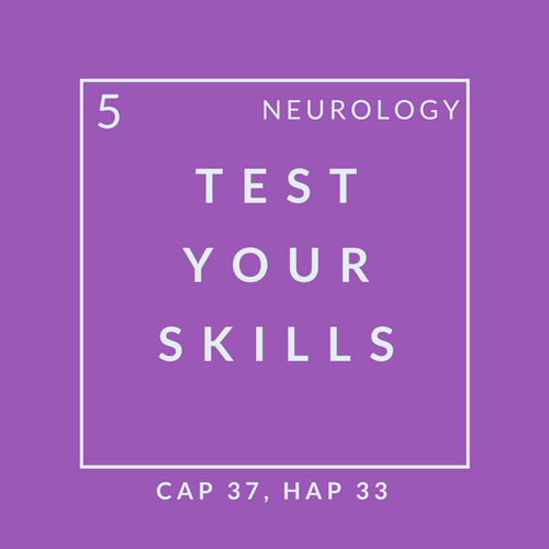 Neuro Quiz 5