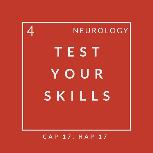 Neuro Quiz 4