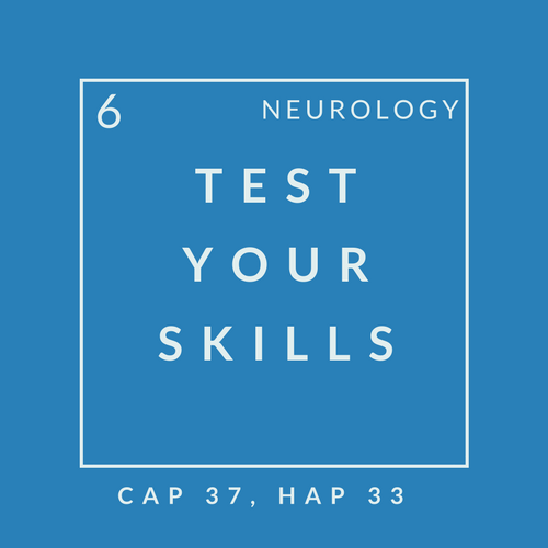 Neuro Quiz 6