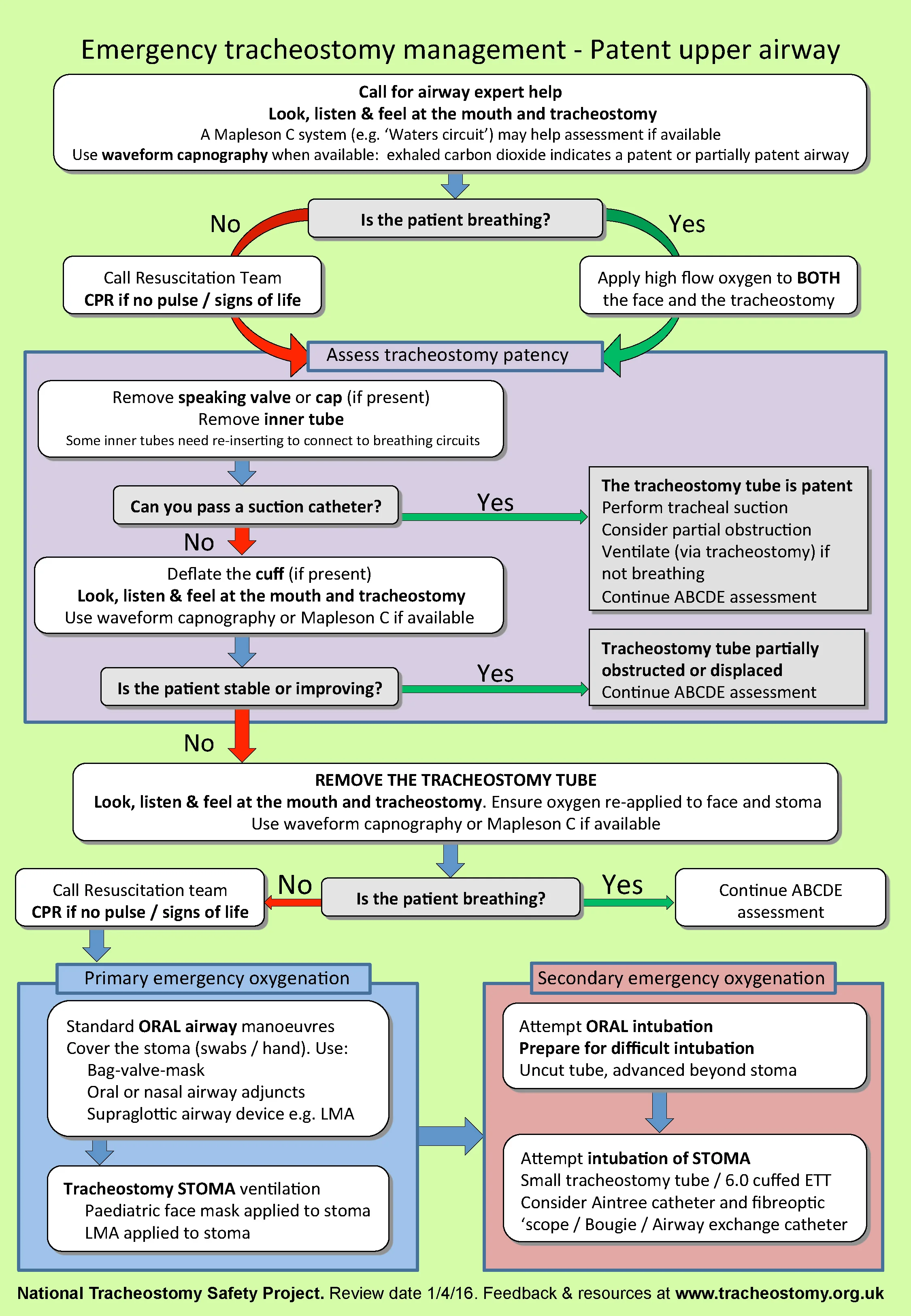 Tracheostomy Algorithm.jpg