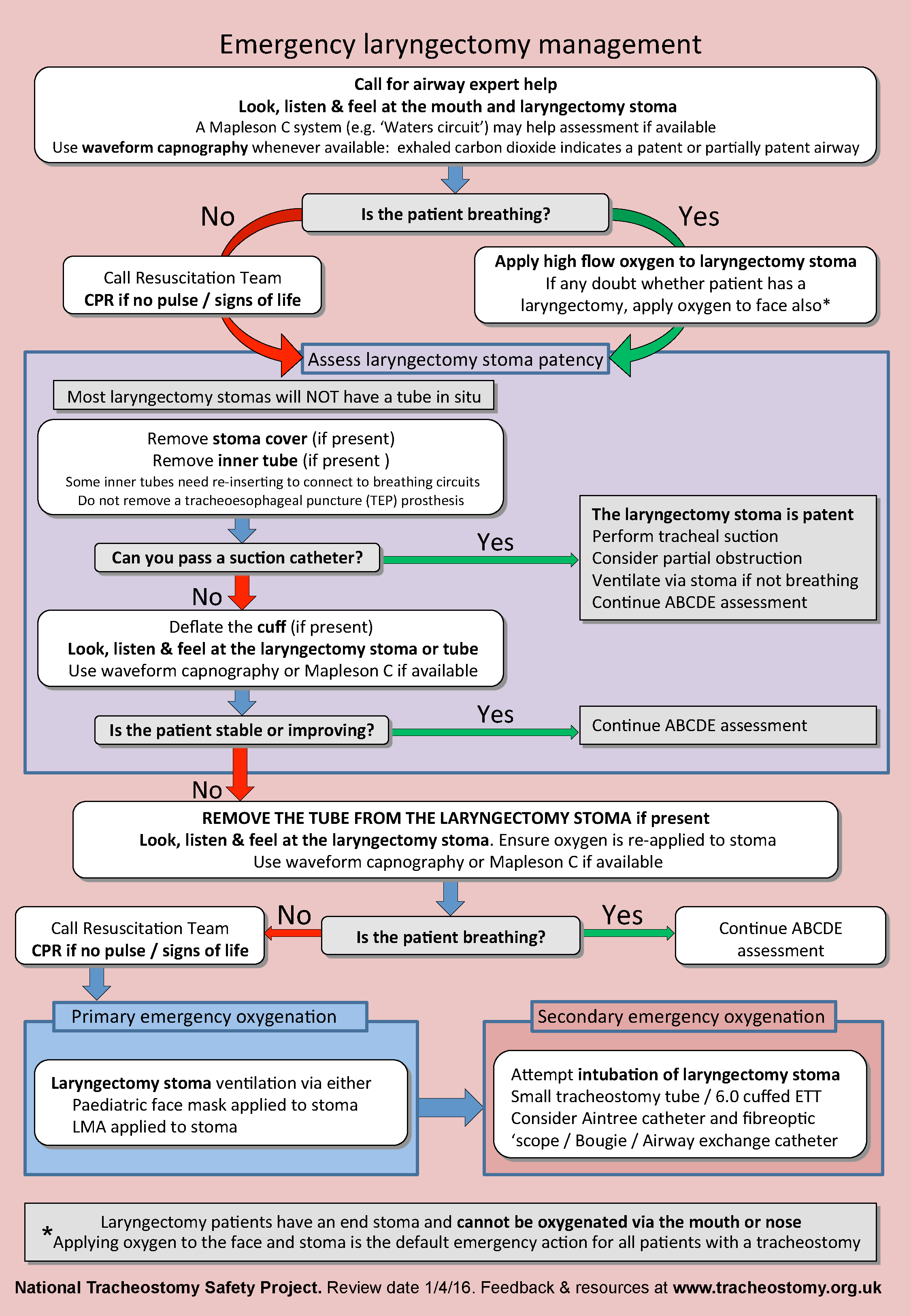 Laryngectomy Algorithm.jpg