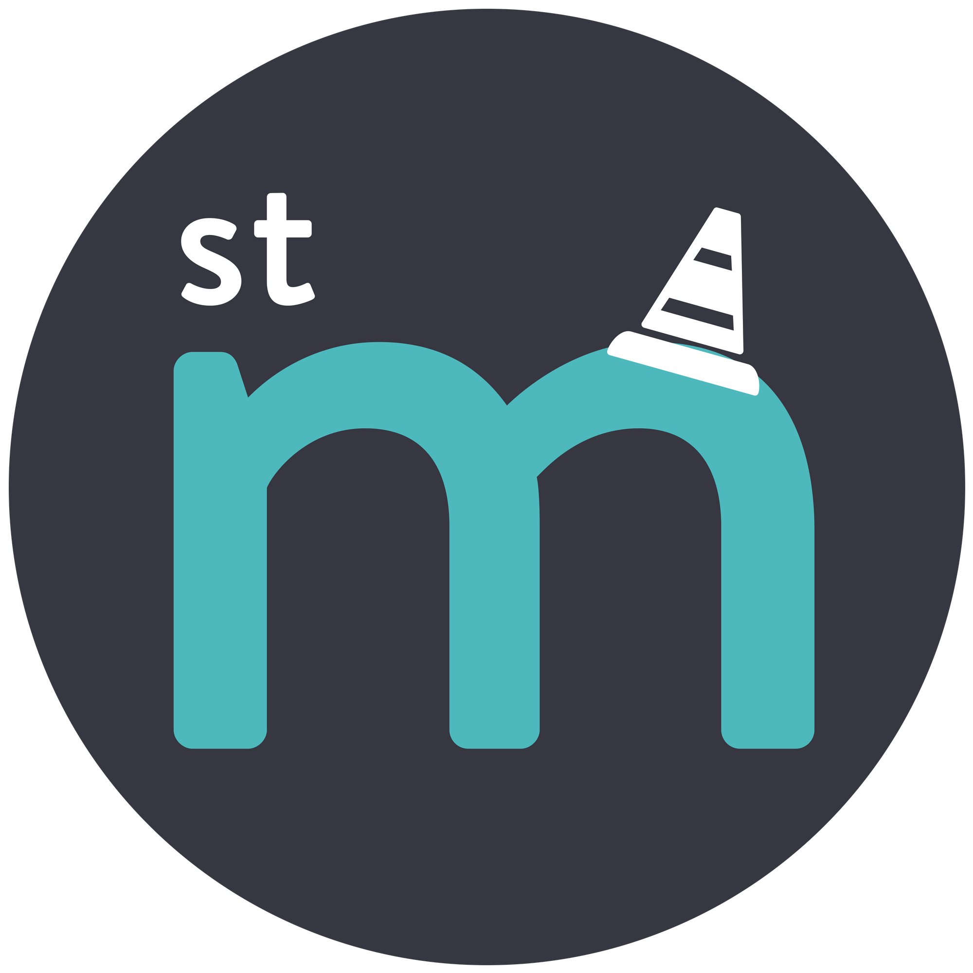 St M Logo.png