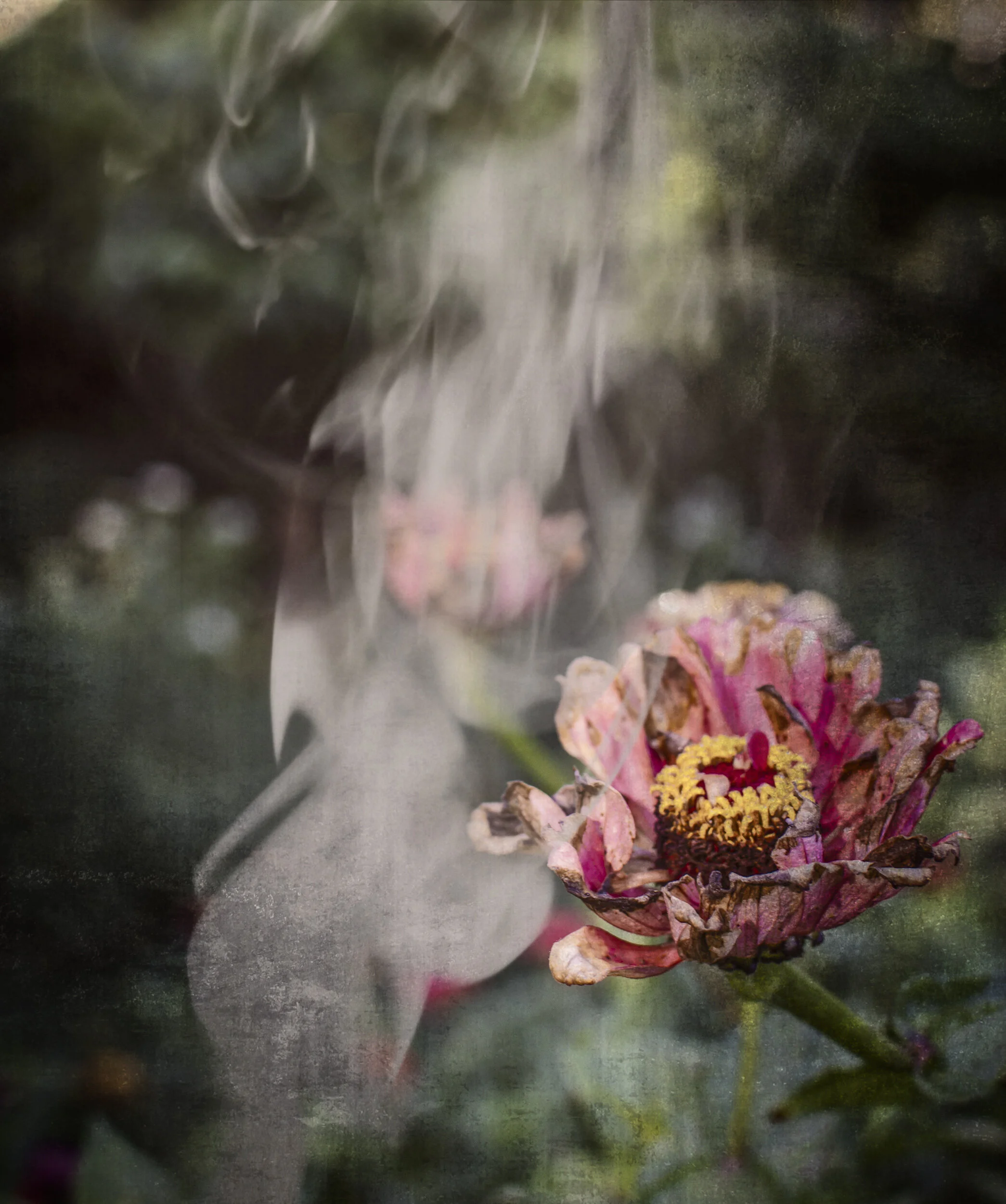 Mkott_September (94)sm.jpg