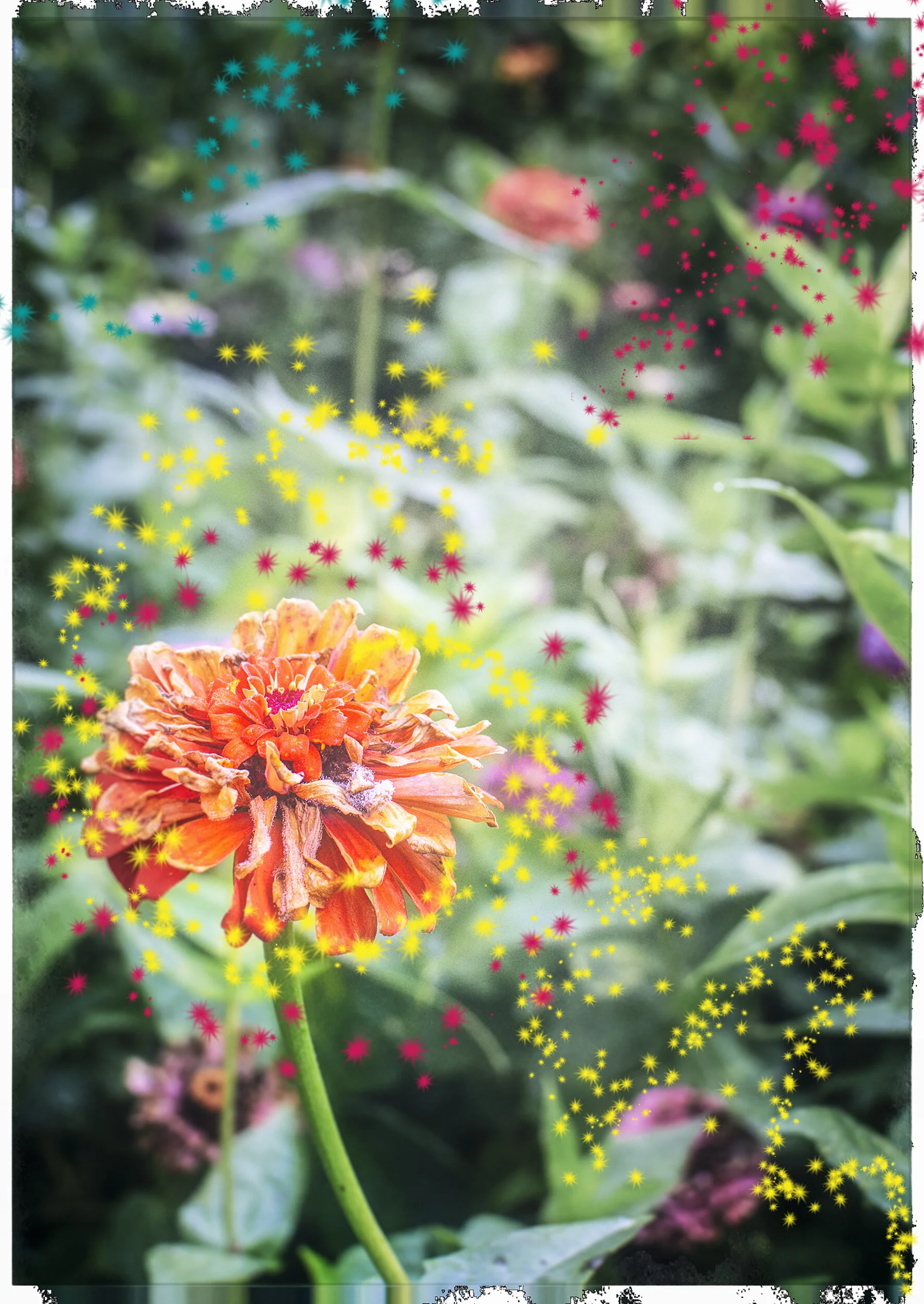 Mkott_September (104)sm.jpg