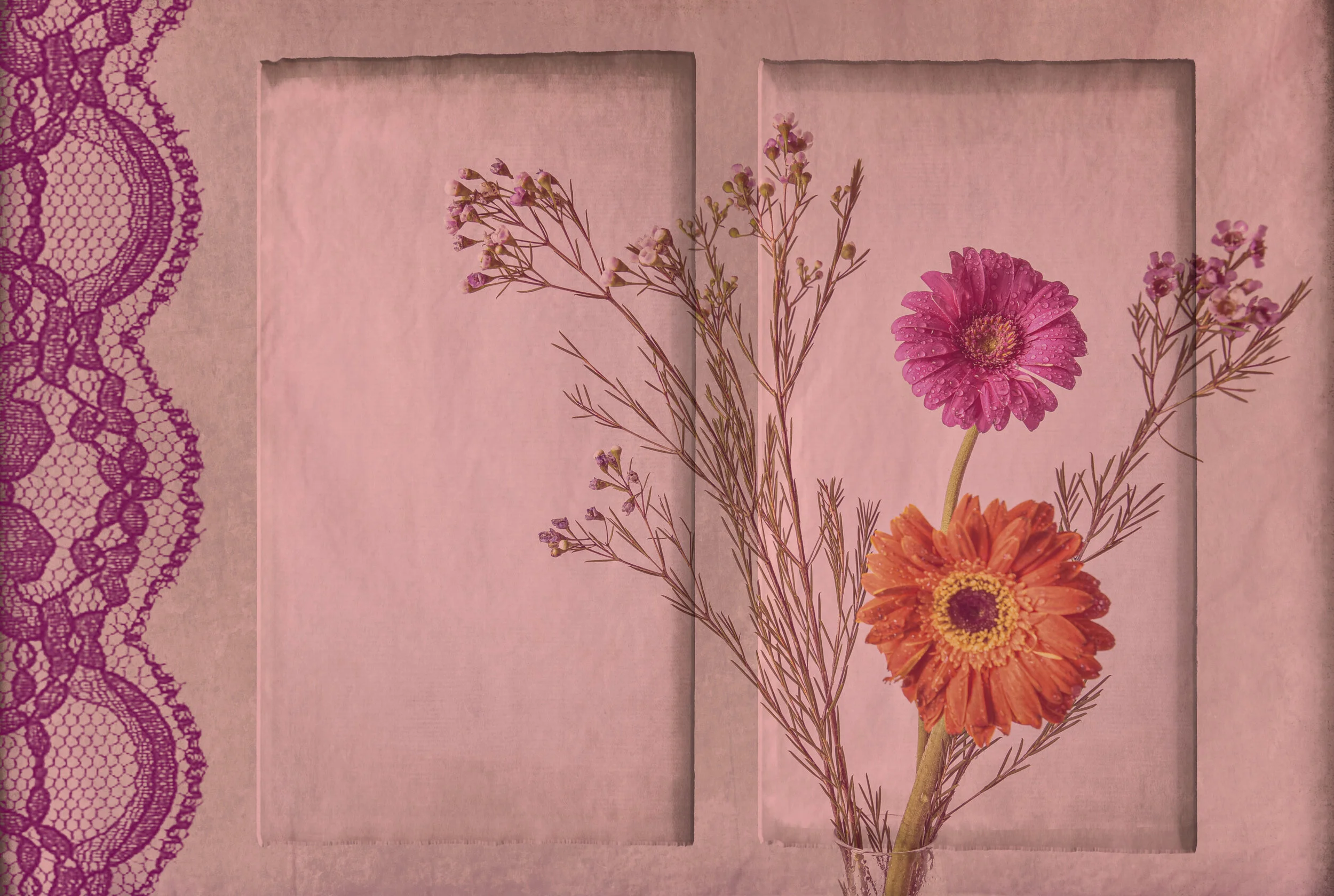 Windows and Lace.jpg